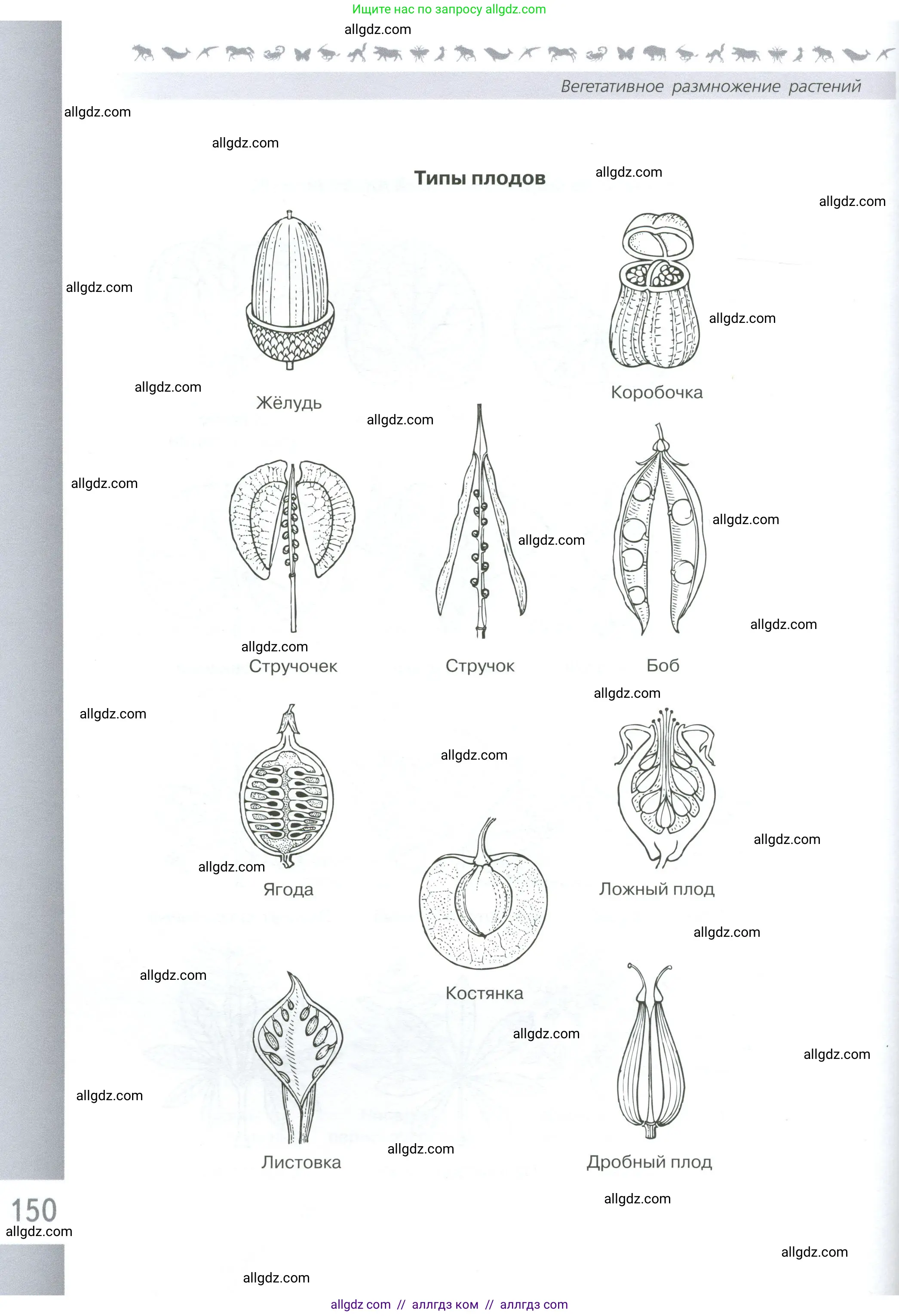Биология, 6 класс Учебник, авторы: Пасечник Владимир Васильевич, Суматохин Сергей Витальевич, Гапонюк Зоя Георгиевна, Швецов Глеб Геннадьевич, издательство Просвещение, Москва, 2023, белого цвета, страница 150