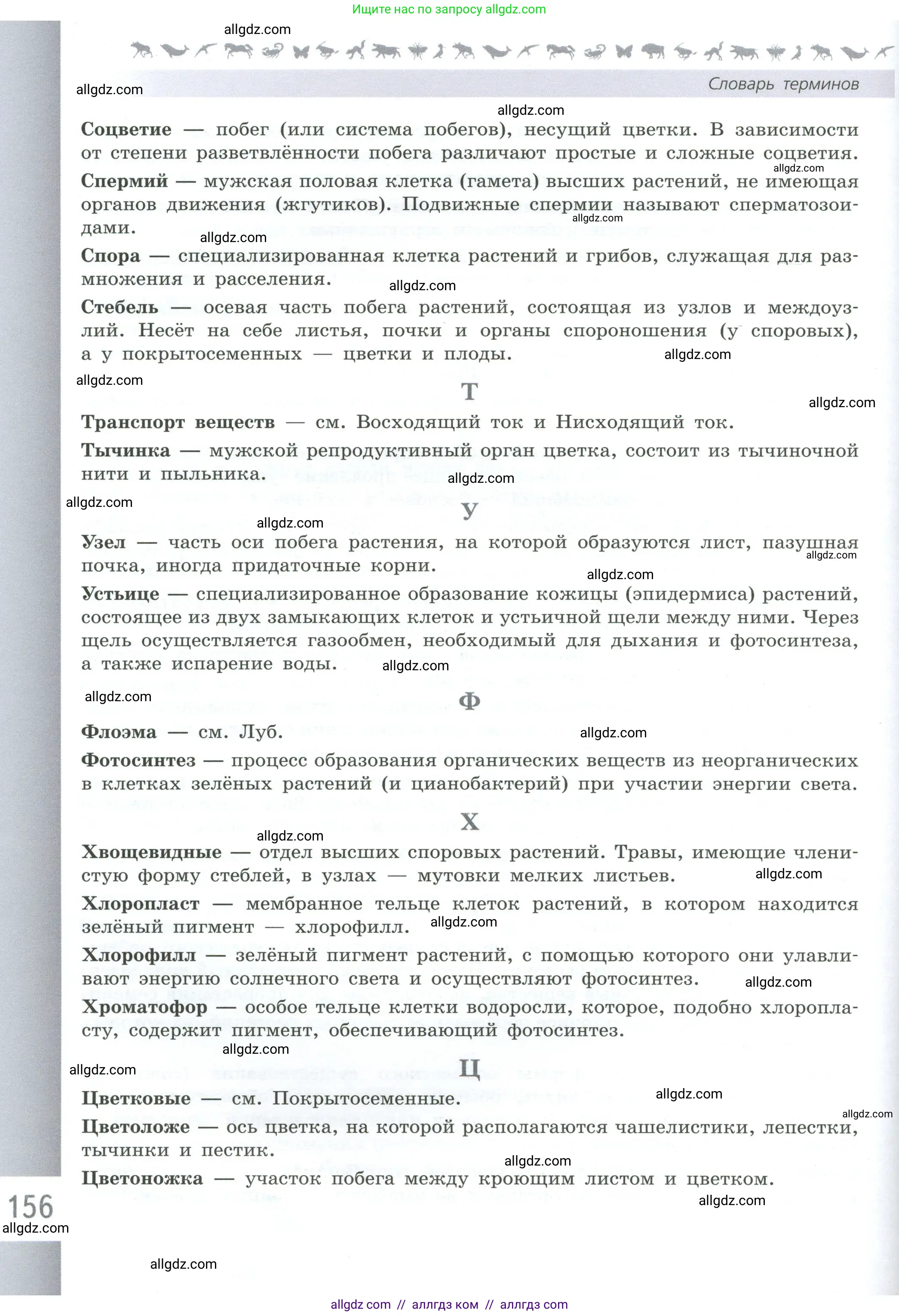 Биология, 6 класс Учебник, авторы: Пасечник Владимир Васильевич, Суматохин Сергей Витальевич, Гапонюк Зоя Георгиевна, Швецов Глеб Геннадьевич, издательство Просвещение, Москва, 2023, белого цвета, страница 156