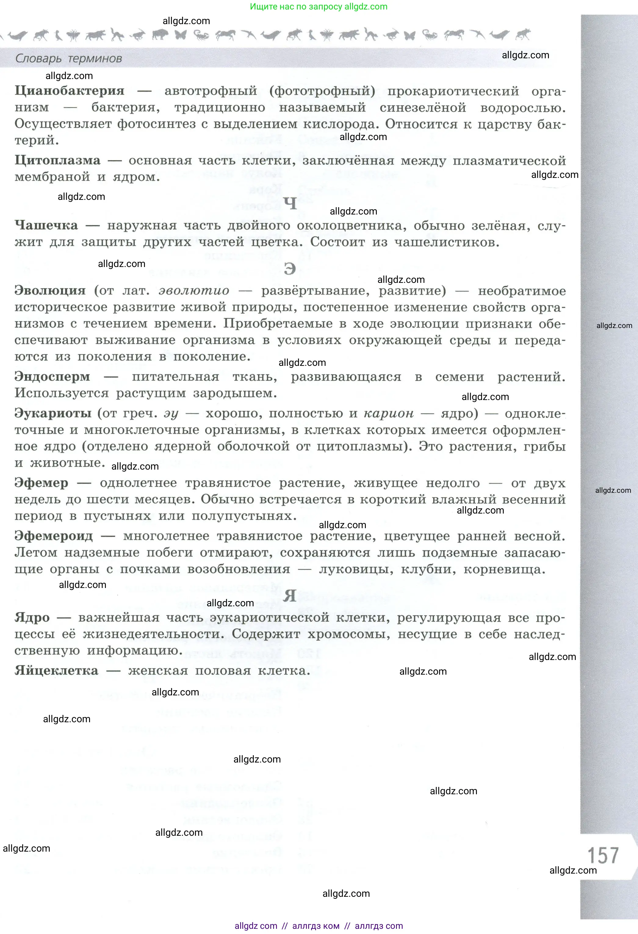 Биология, 6 класс Учебник, авторы: Пасечник Владимир Васильевич, Суматохин Сергей Витальевич, Гапонюк Зоя Георгиевна, Швецов Глеб Геннадьевич, издательство Просвещение, Москва, 2023, белого цвета, страница 157