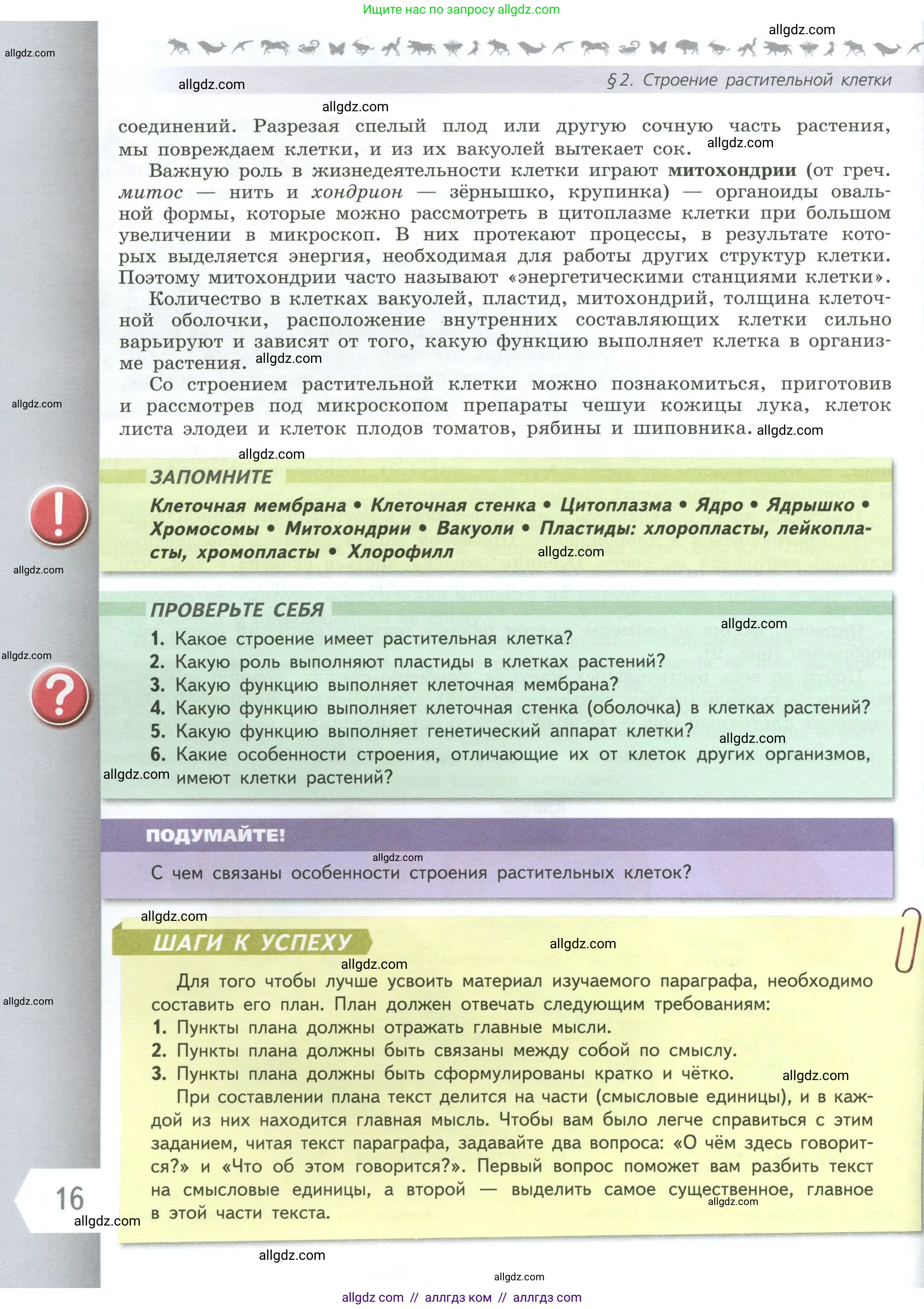 Биология, 6 класс Учебник, авторы: Пасечник Владимир Васильевич, Суматохин Сергей Витальевич, Гапонюк Зоя Георгиевна, Швецов Глеб Геннадьевич, издательство Просвещение, Москва, 2023, белого цвета, страница 16