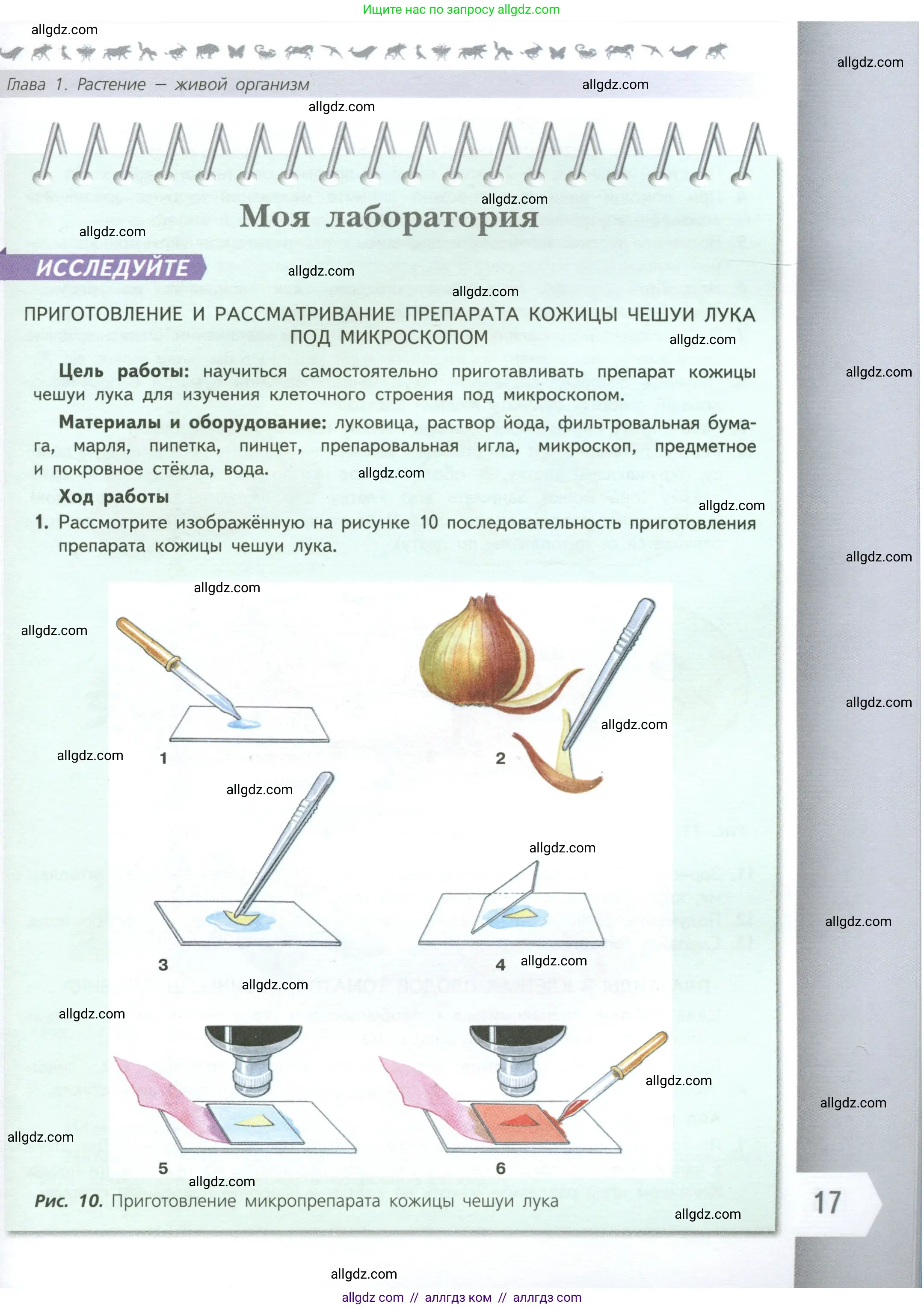 Биология, 6 класс Учебник, авторы: Пасечник Владимир Васильевич, Суматохин Сергей Витальевич, Гапонюк Зоя Георгиевна, Швецов Глеб Геннадьевич, издательство Просвещение, Москва, 2023, белого цвета, страница 17