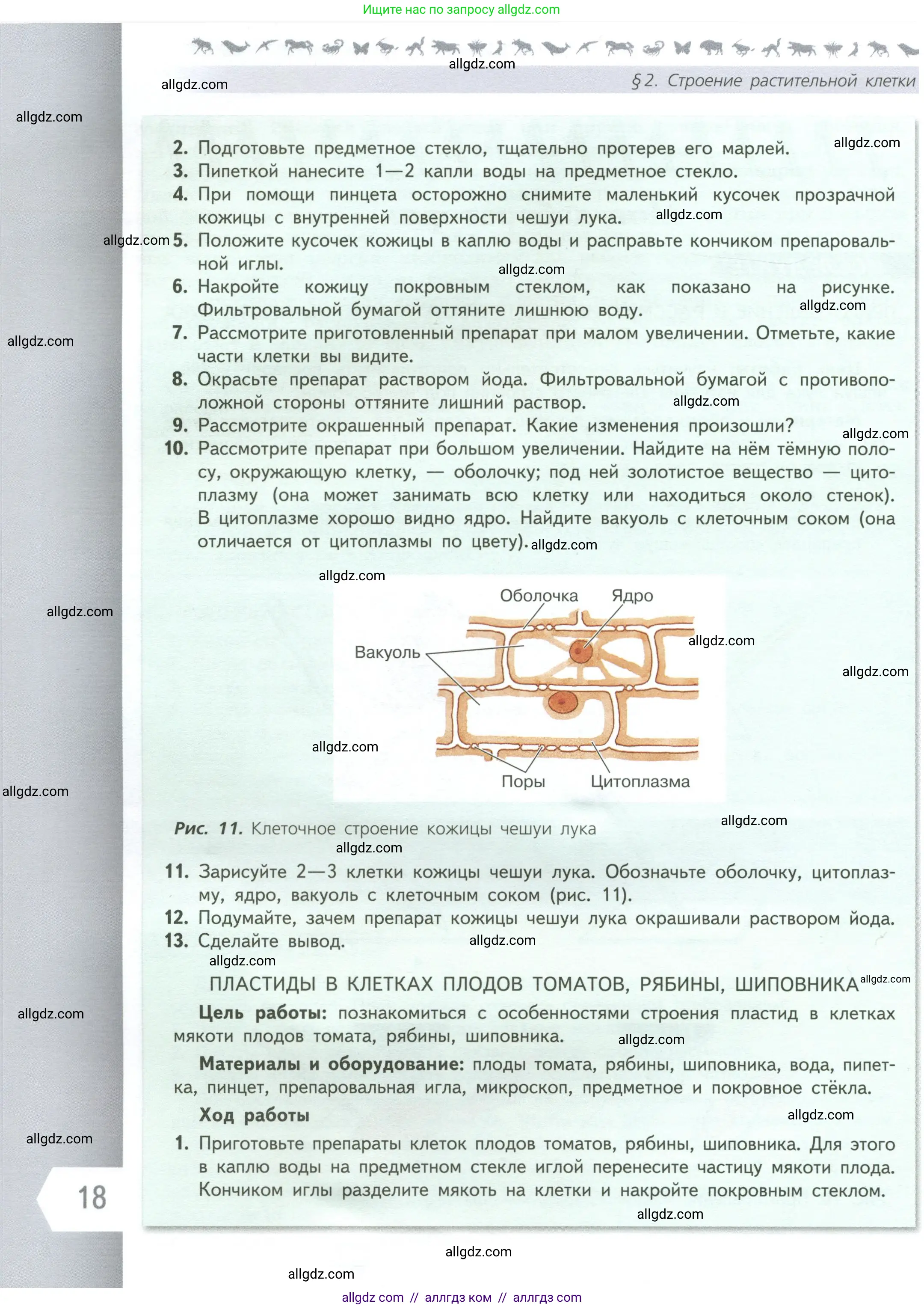 Биология, 6 класс Учебник, авторы: Пасечник Владимир Васильевич, Суматохин Сергей Витальевич, Гапонюк Зоя Георгиевна, Швецов Глеб Геннадьевич, издательство Просвещение, Москва, 2023, белого цвета, страница 18