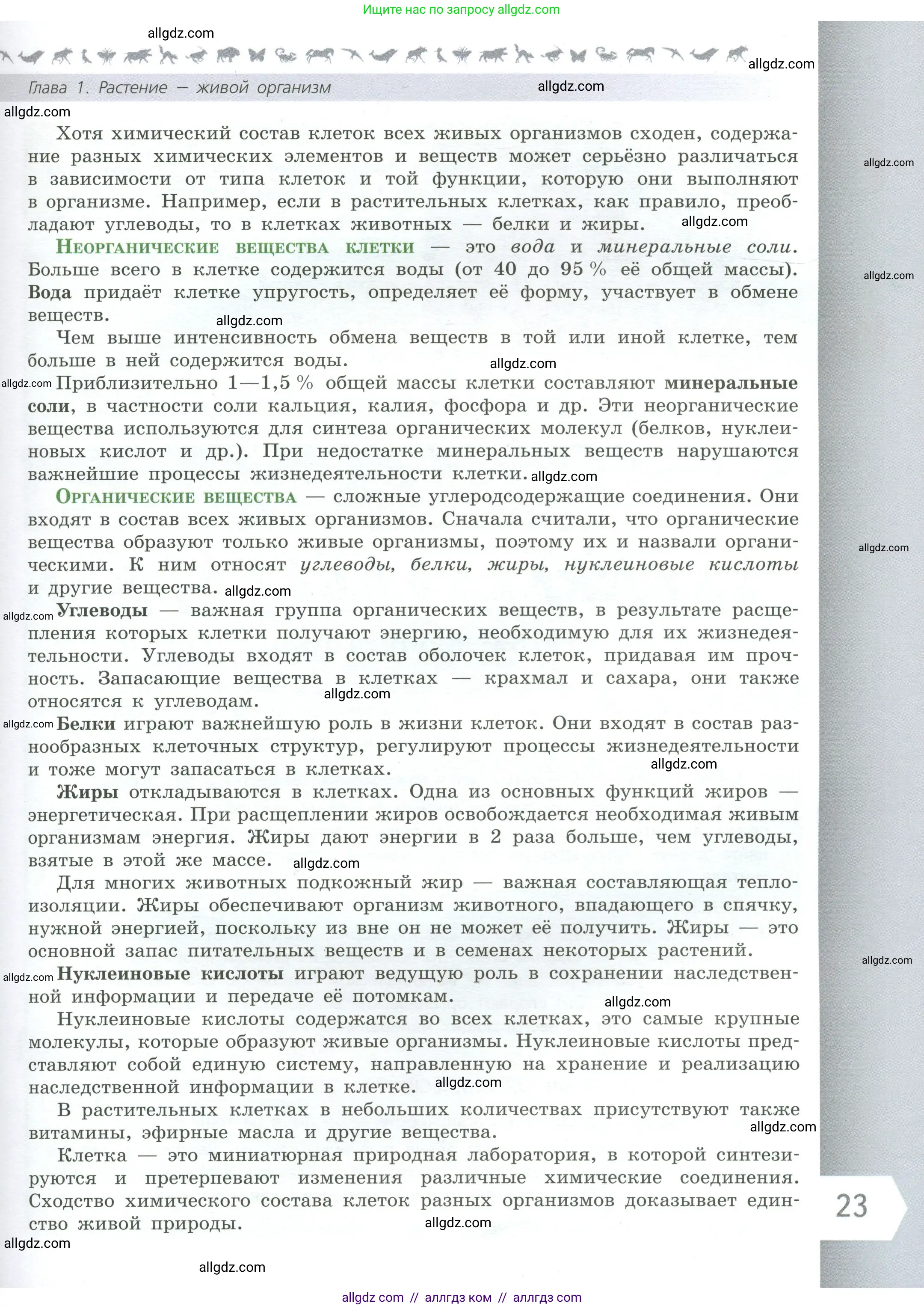 Биология, 6 класс Учебник, авторы: Пасечник Владимир Васильевич, Суматохин Сергей Витальевич, Гапонюк Зоя Георгиевна, Швецов Глеб Геннадьевич, издательство Просвещение, Москва, 2023, белого цвета, страница 23