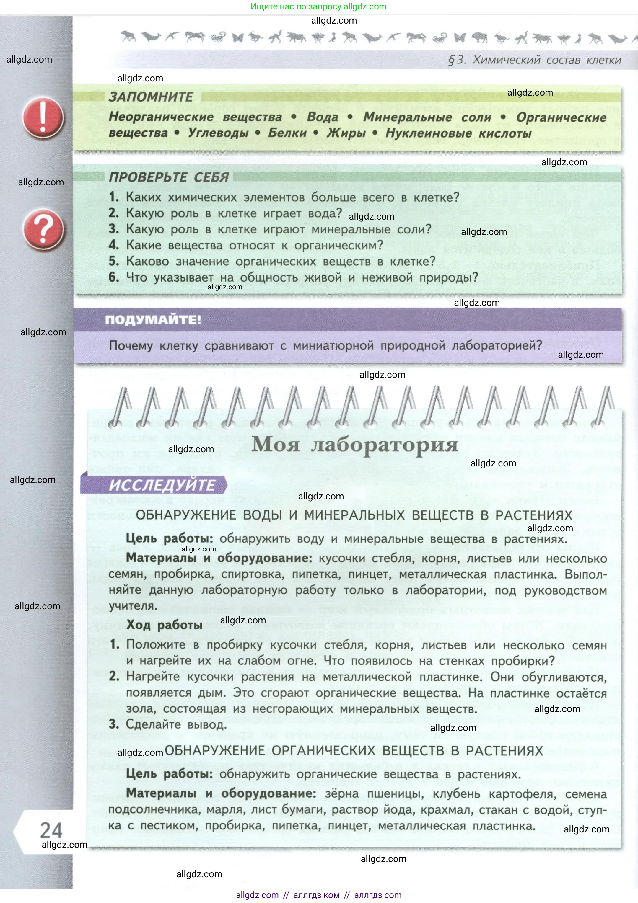 Биология, 6 класс Учебник, авторы: Пасечник Владимир Васильевич, Суматохин Сергей Витальевич, Гапонюк Зоя Георгиевна, Швецов Глеб Геннадьевич, издательство Просвещение, Москва, 2023, белого цвета, страница 24