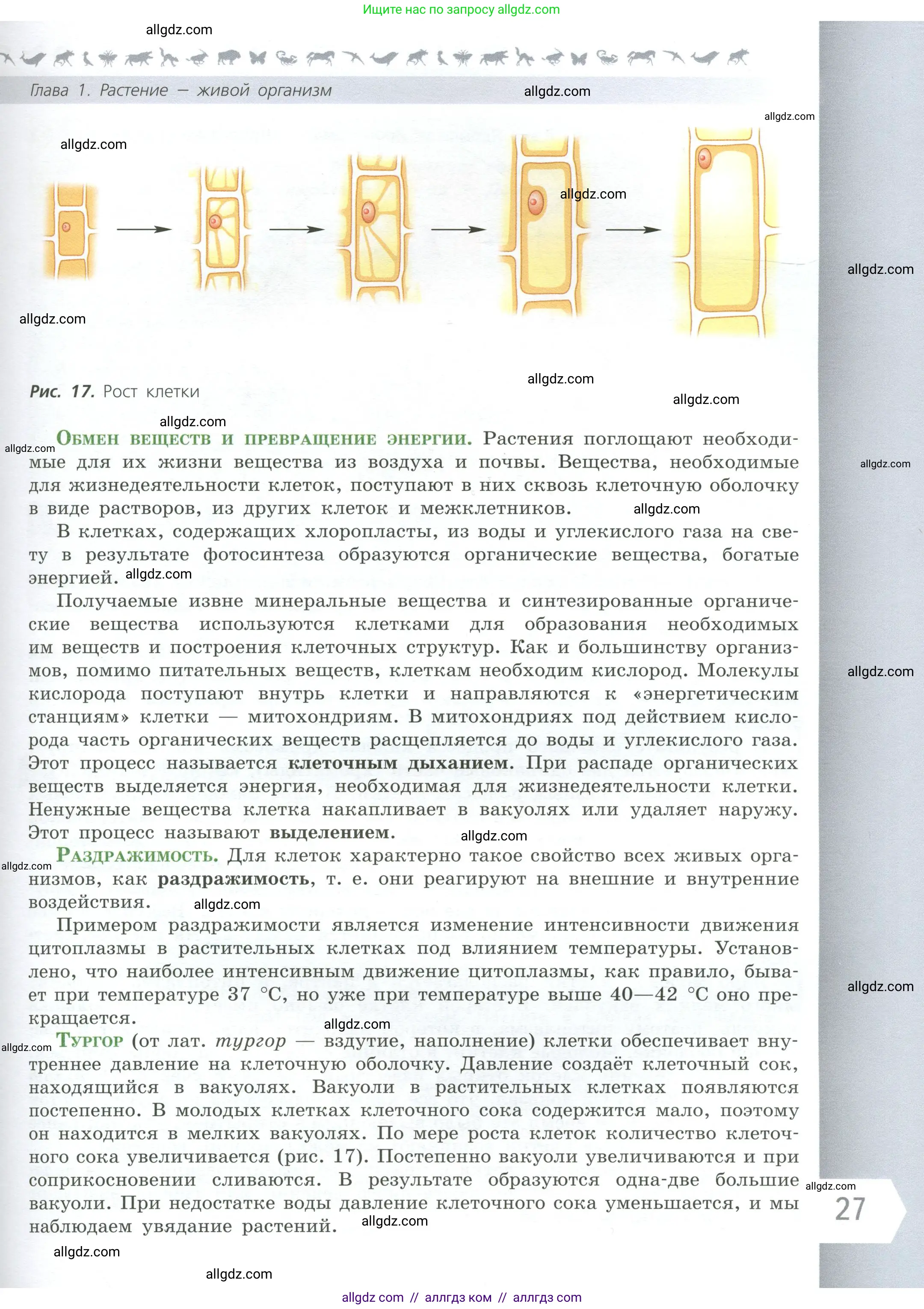 Биология, 6 класс Учебник, авторы: Пасечник Владимир Васильевич, Суматохин Сергей Витальевич, Гапонюк Зоя Георгиевна, Швецов Глеб Геннадьевич, издательство Просвещение, Москва, 2023, белого цвета, страница 27