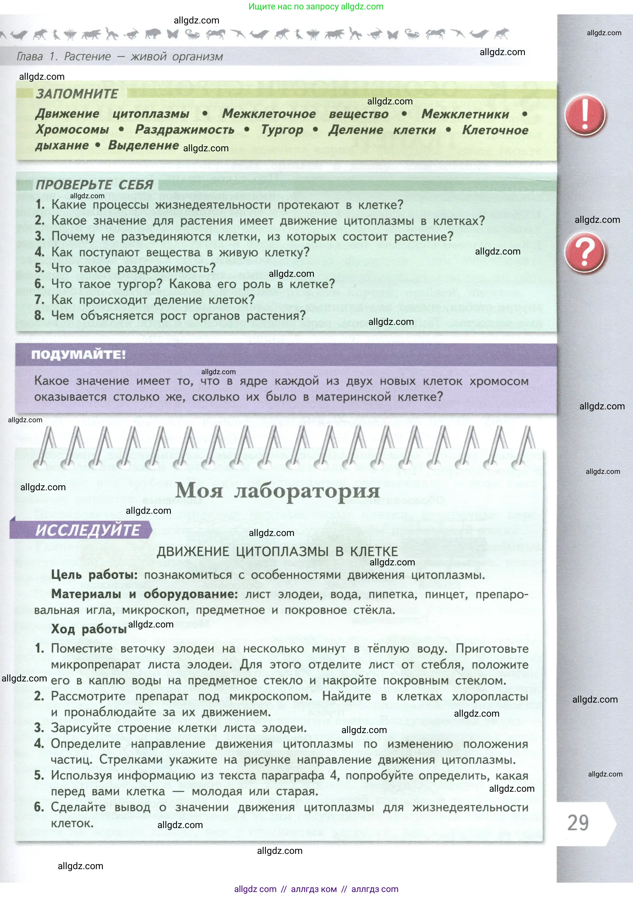 Биология, 6 класс Учебник, авторы: Пасечник Владимир Васильевич, Суматохин Сергей Витальевич, Гапонюк Зоя Георгиевна, Швецов Глеб Геннадьевич, издательство Просвещение, Москва, 2023, белого цвета, страница 29