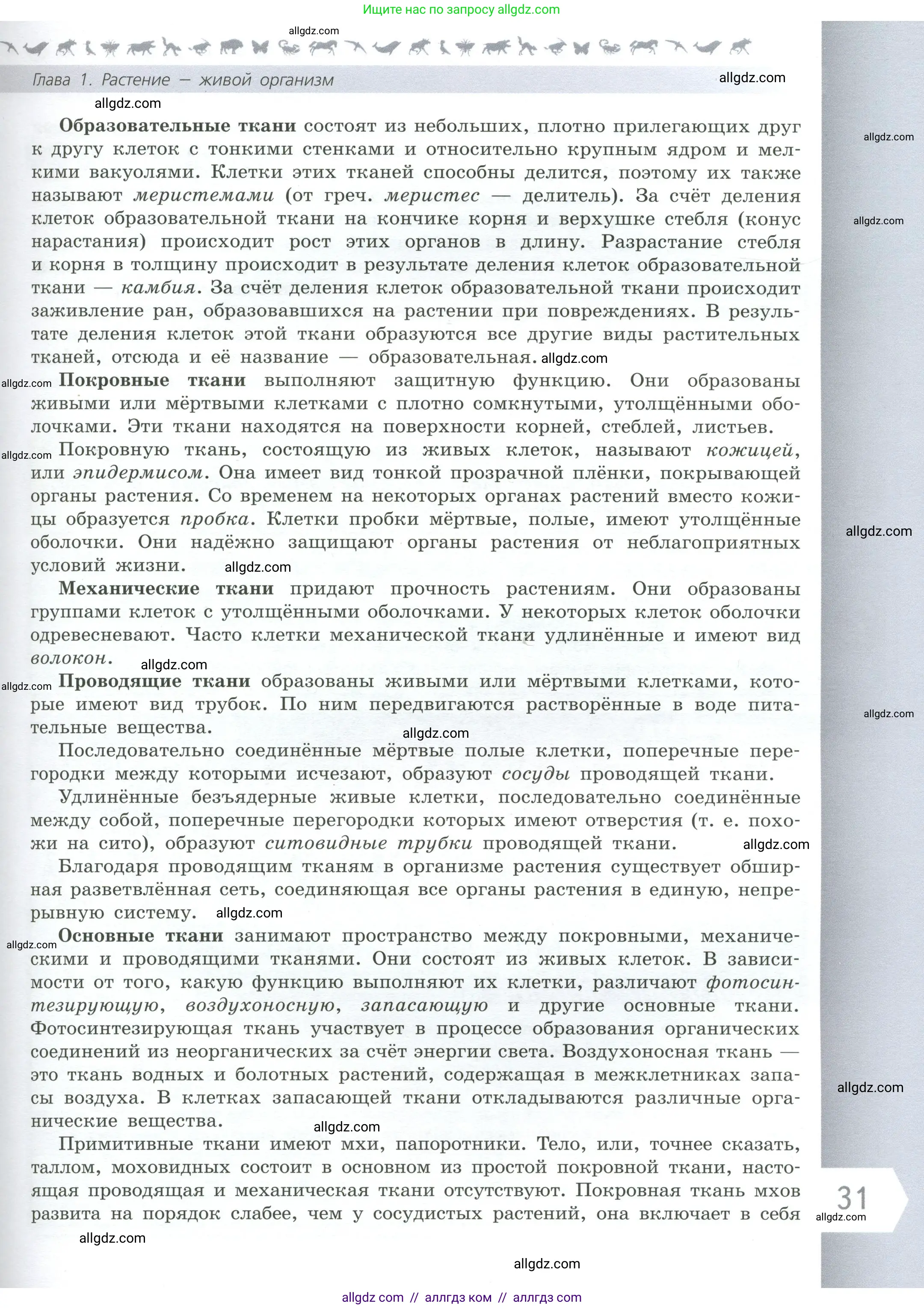 Биология, 6 класс Учебник, авторы: Пасечник Владимир Васильевич, Суматохин Сергей Витальевич, Гапонюк Зоя Георгиевна, Швецов Глеб Геннадьевич, издательство Просвещение, Москва, 2023, белого цвета, страница 31