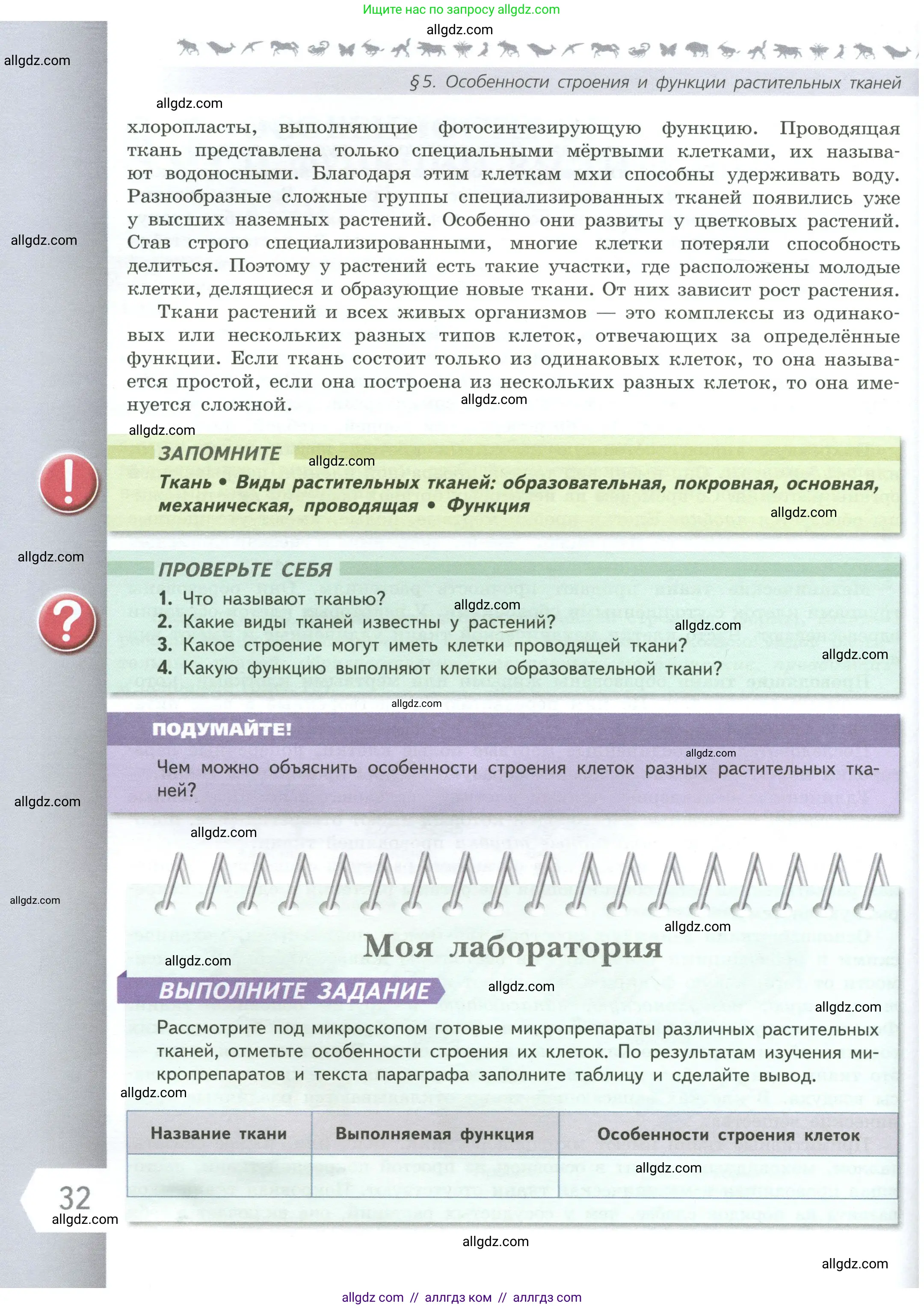 Биология, 6 класс Учебник, авторы: Пасечник Владимир Васильевич, Суматохин Сергей Витальевич, Гапонюк Зоя Георгиевна, Швецов Глеб Геннадьевич, издательство Просвещение, Москва, 2023, белого цвета, страница 32