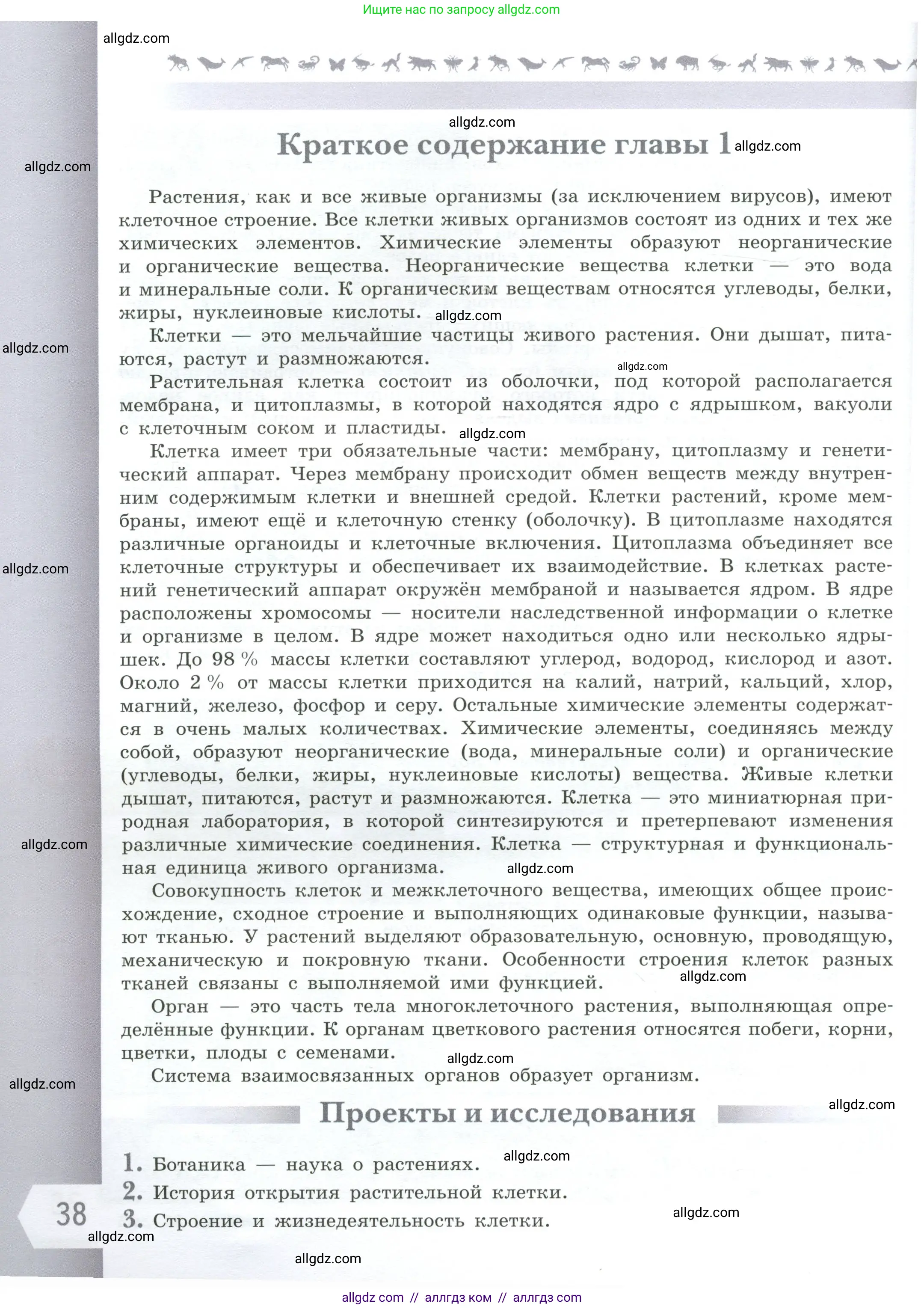 Биология, 6 класс Учебник, авторы: Пасечник Владимир Васильевич, Суматохин Сергей Витальевич, Гапонюк Зоя Георгиевна, Швецов Глеб Геннадьевич, издательство Просвещение, Москва, 2023, белого цвета, страница 38
