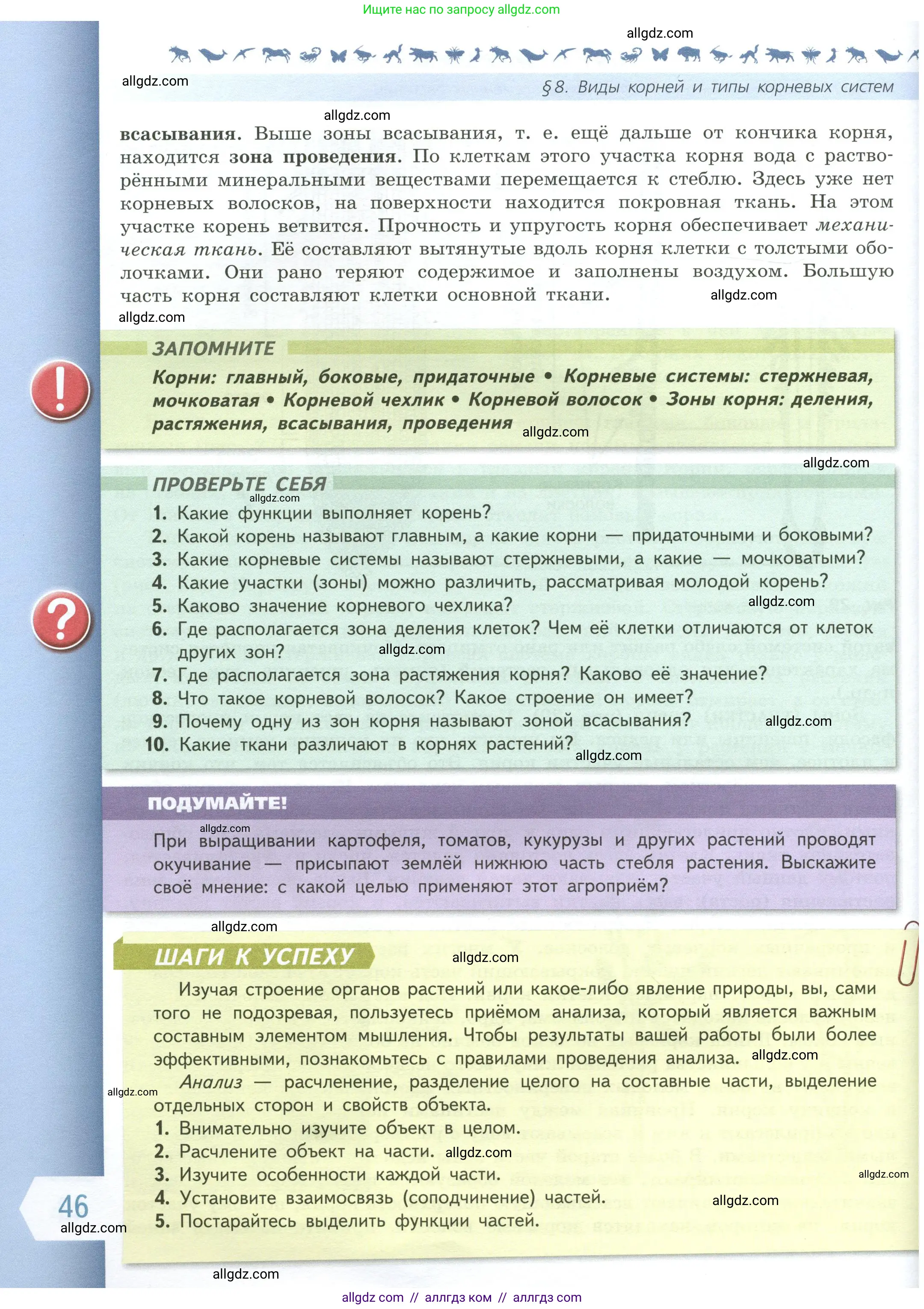 Биология, 6 класс Учебник, авторы: Пасечник Владимир Васильевич, Суматохин Сергей Витальевич, Гапонюк Зоя Георгиевна, Швецов Глеб Геннадьевич, издательство Просвещение, Москва, 2023, белого цвета, страница 46