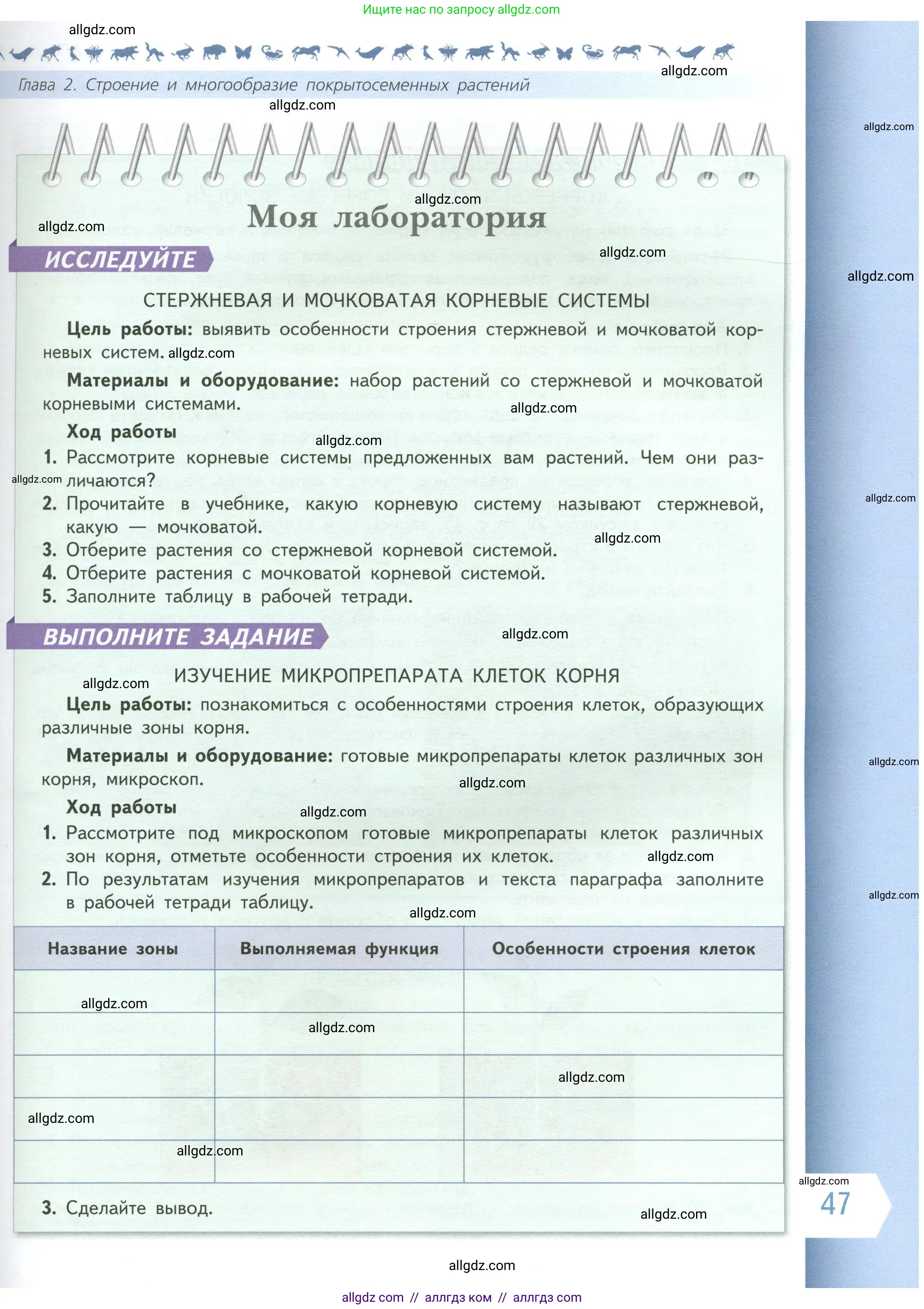 Биология, 6 класс Учебник, авторы: Пасечник Владимир Васильевич, Суматохин Сергей Витальевич, Гапонюк Зоя Георгиевна, Швецов Глеб Геннадьевич, издательство Просвещение, Москва, 2023, белого цвета, страница 47