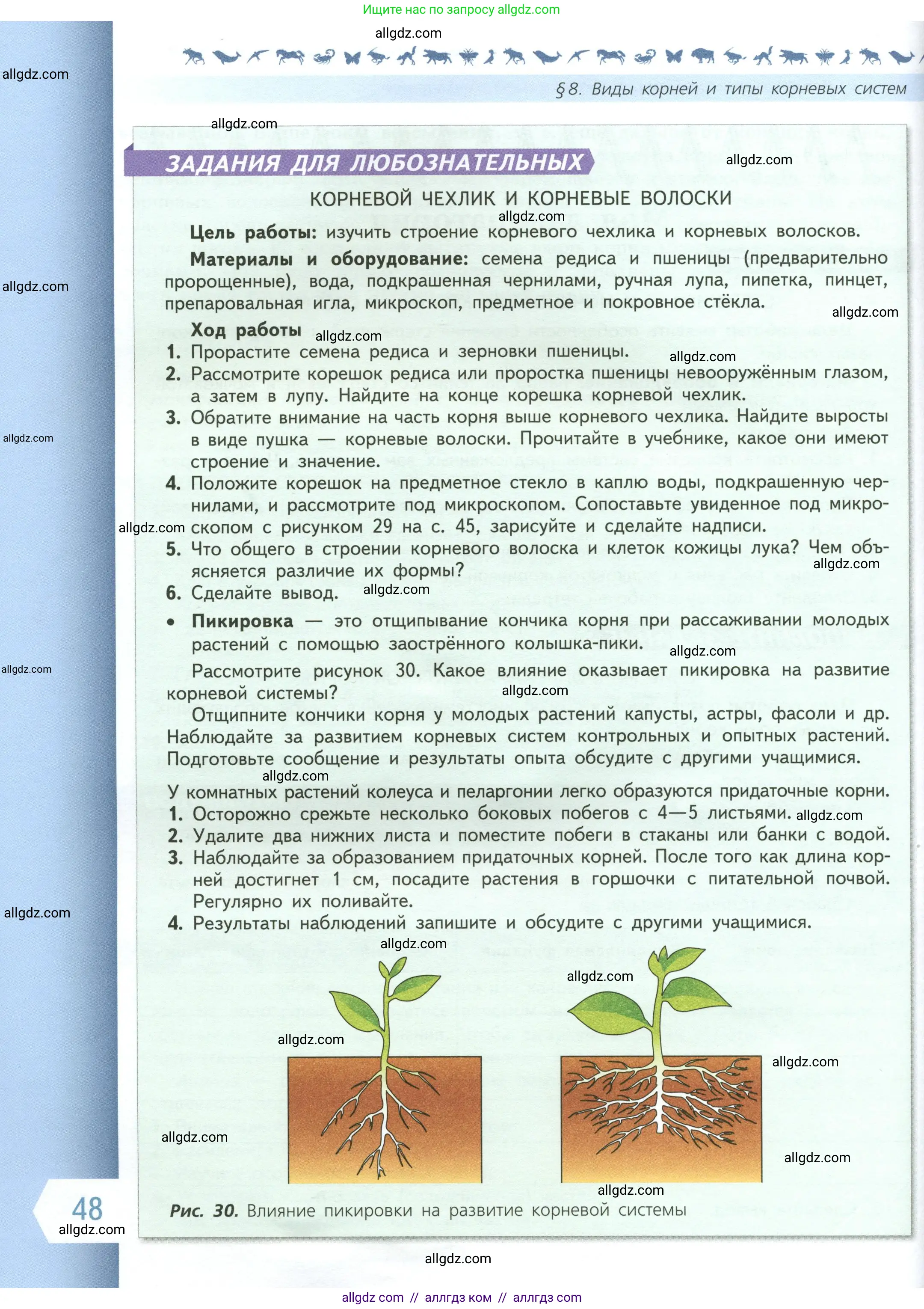 Биология, 6 класс Учебник, авторы: Пасечник Владимир Васильевич, Суматохин Сергей Витальевич, Гапонюк Зоя Георгиевна, Швецов Глеб Геннадьевич, издательство Просвещение, Москва, 2023, белого цвета, страница 48
