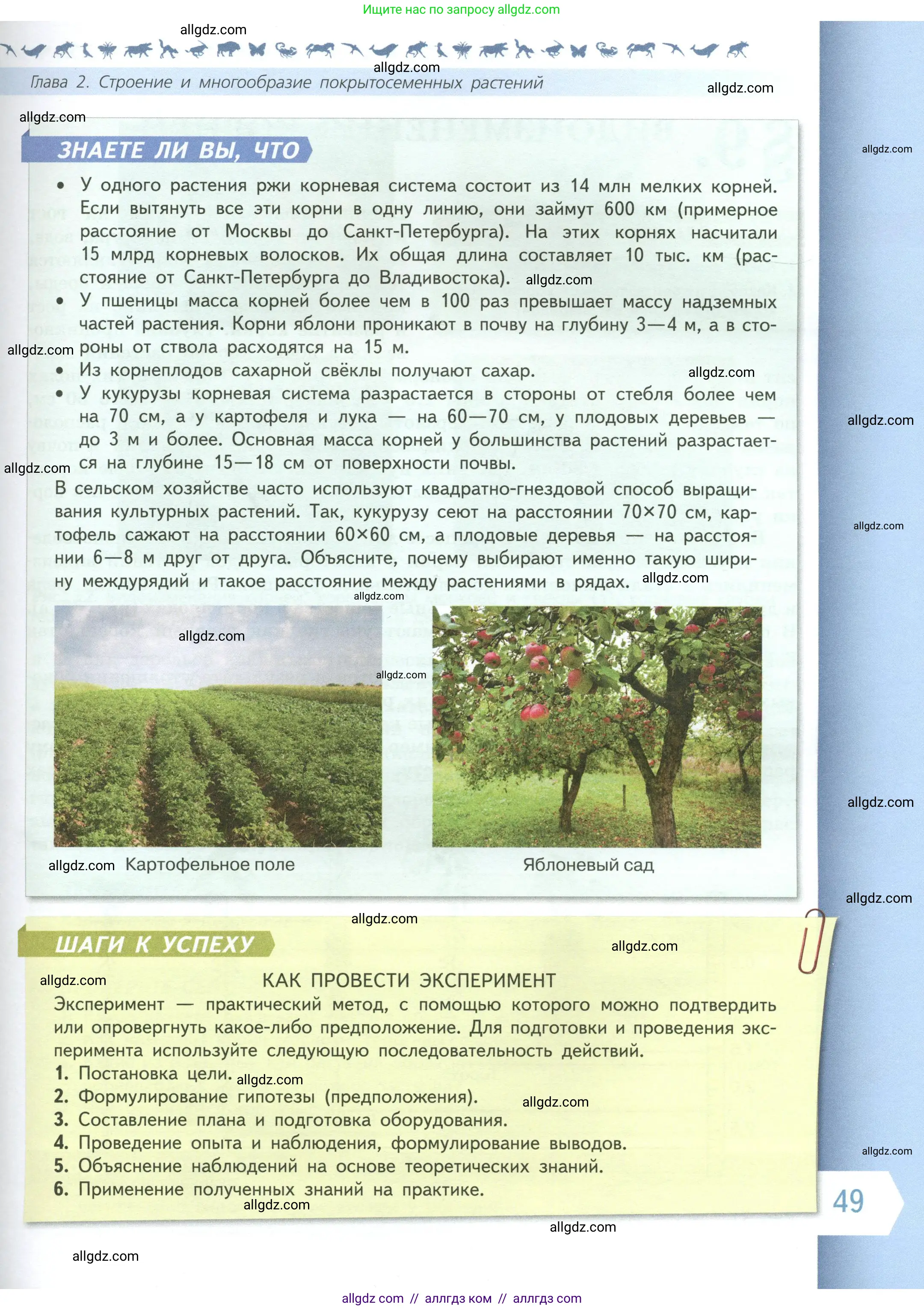 Биология, 6 класс Учебник, авторы: Пасечник Владимир Васильевич, Суматохин Сергей Витальевич, Гапонюк Зоя Георгиевна, Швецов Глеб Геннадьевич, издательство Просвещение, Москва, 2023, белого цвета, страница 49