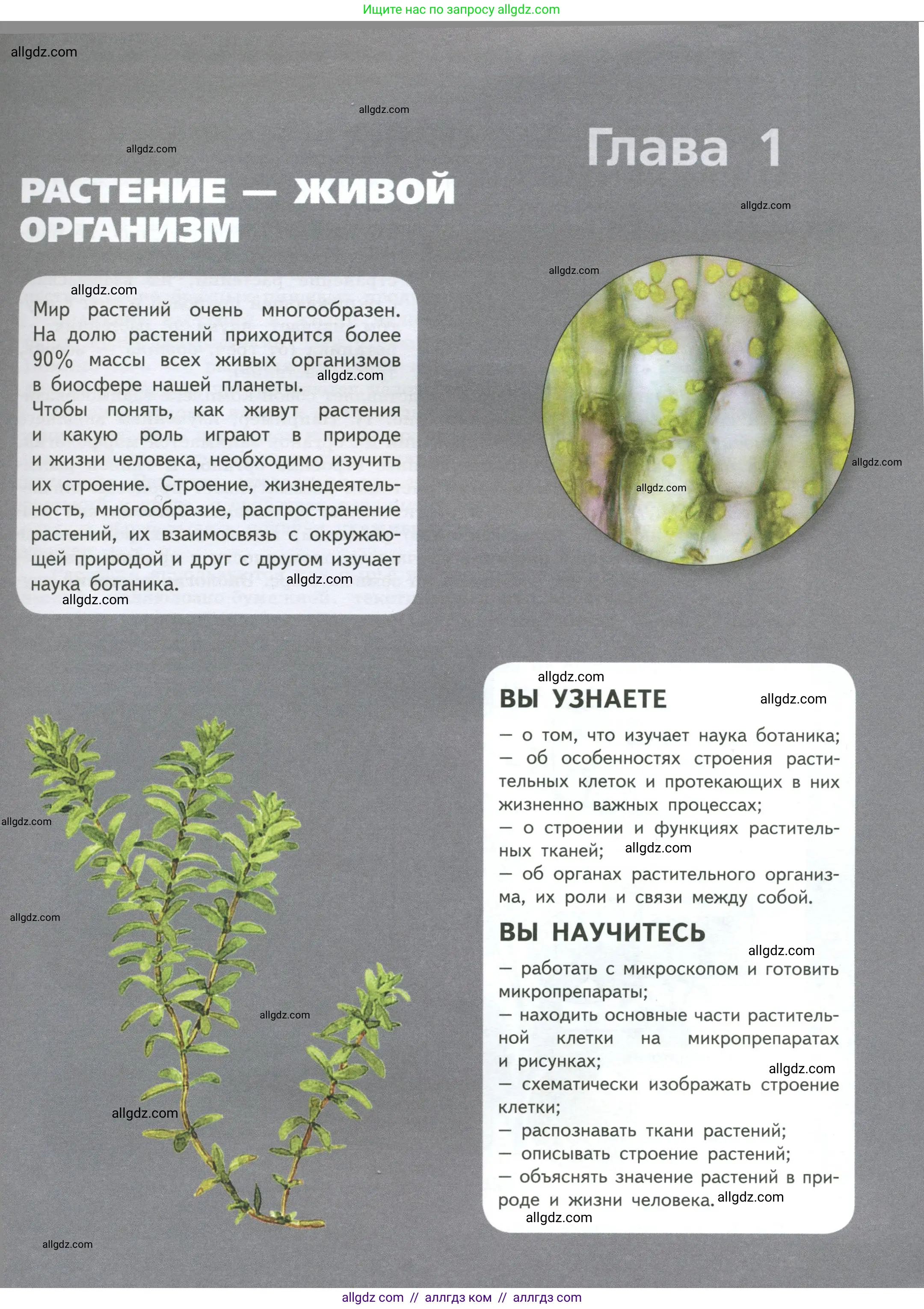 Биология, 6 класс Учебник, авторы: Пасечник Владимир Васильевич, Суматохин Сергей Витальевич, Гапонюк Зоя Георгиевна, Швецов Глеб Геннадьевич, издательство Просвещение, Москва, 2023, белого цвета, страница 5