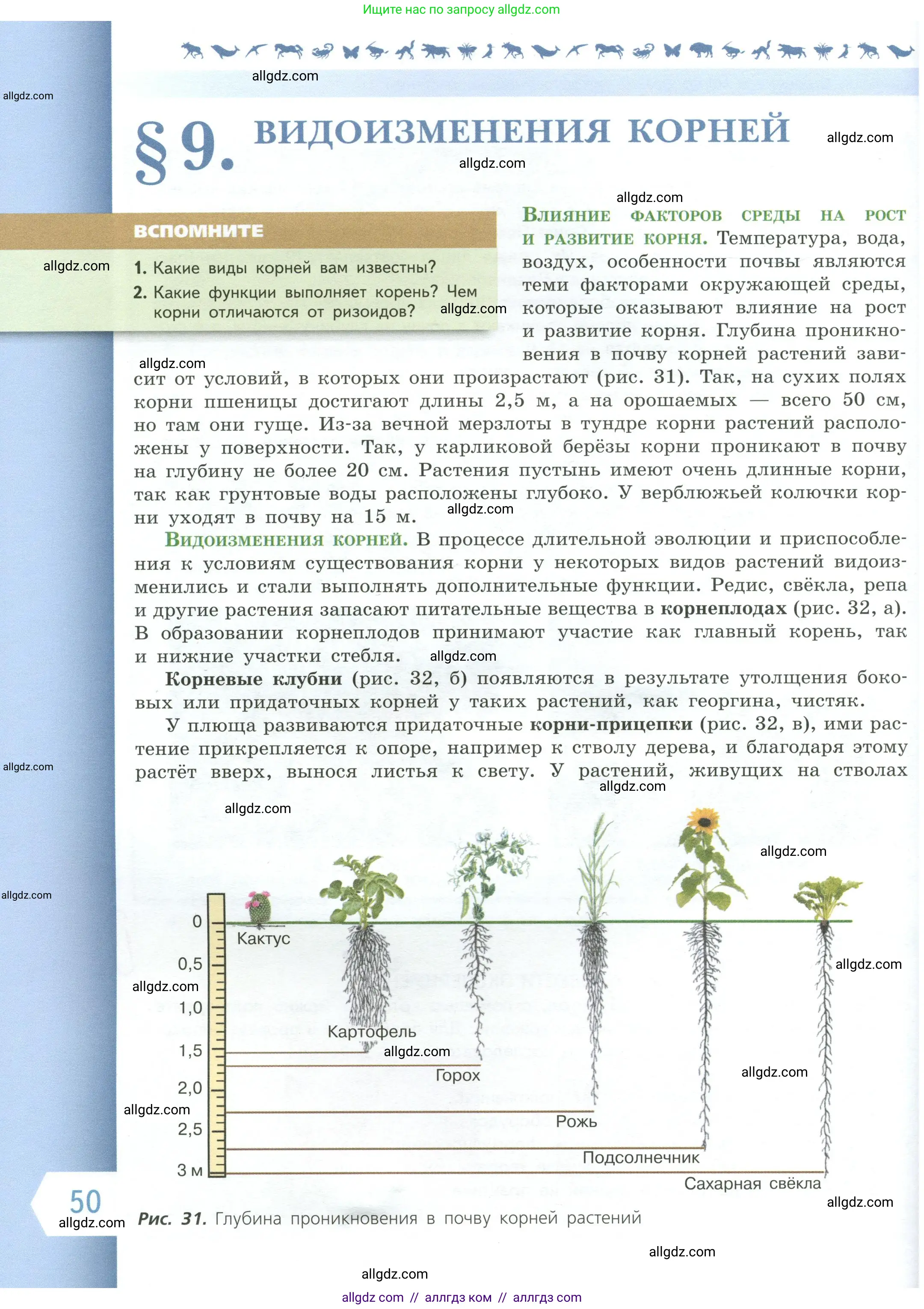 Биология, 6 класс Учебник, авторы: Пасечник Владимир Васильевич, Суматохин Сергей Витальевич, Гапонюк Зоя Георгиевна, Швецов Глеб Геннадьевич, издательство Просвещение, Москва, 2023, белого цвета, страница 50
