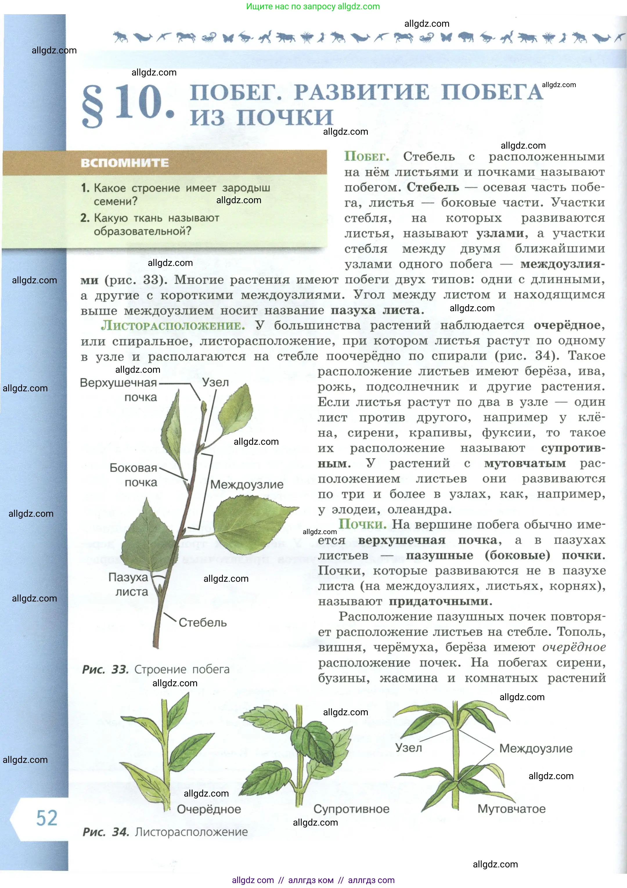 Биология, 6 класс Учебник, авторы: Пасечник Владимир Васильевич, Суматохин Сергей Витальевич, Гапонюк Зоя Георгиевна, Швецов Глеб Геннадьевич, издательство Просвещение, Москва, 2023, белого цвета, страница 52