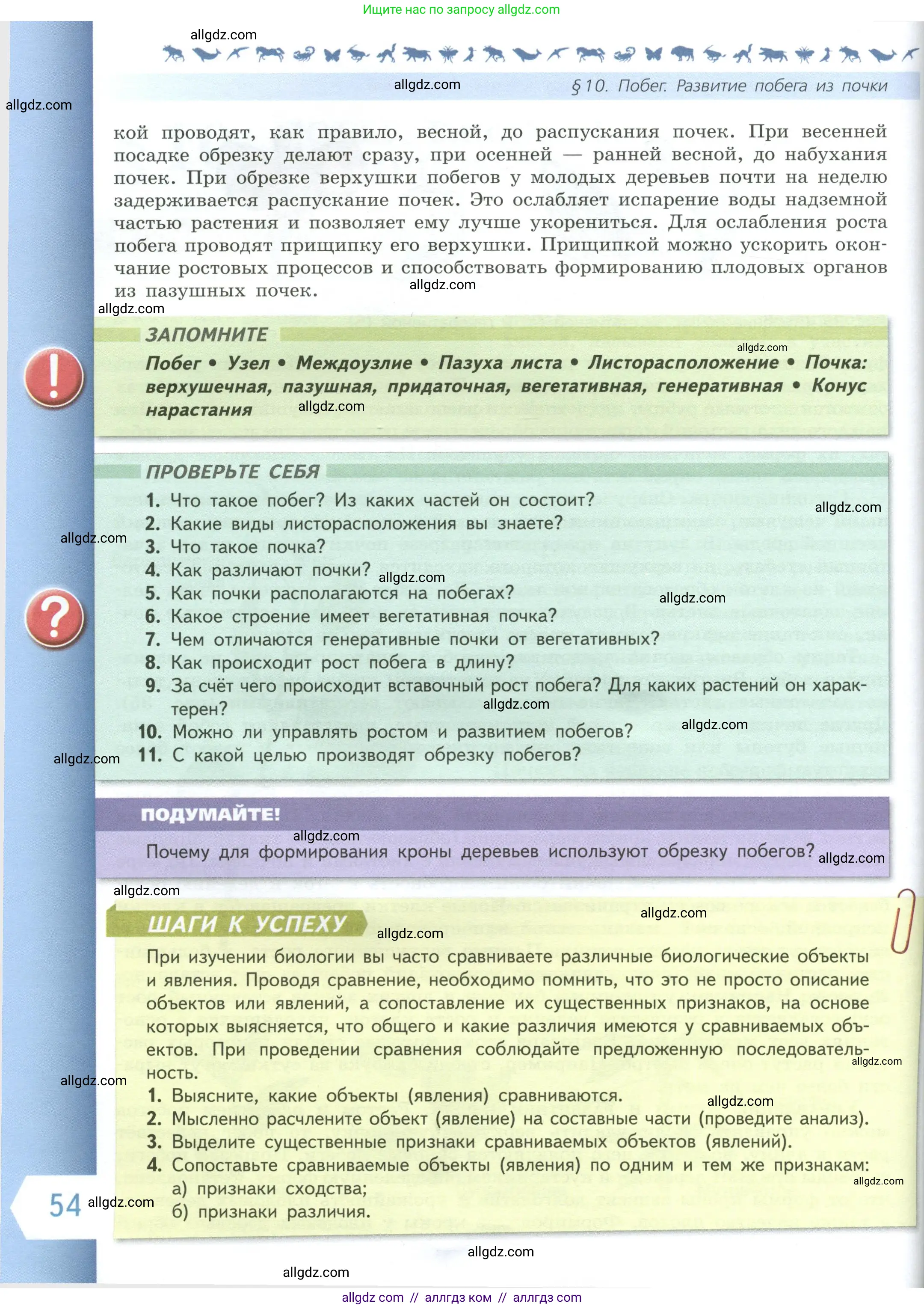 Биология, 6 класс Учебник, авторы: Пасечник Владимир Васильевич, Суматохин Сергей Витальевич, Гапонюк Зоя Георгиевна, Швецов Глеб Геннадьевич, издательство Просвещение, Москва, 2023, белого цвета, страница 54