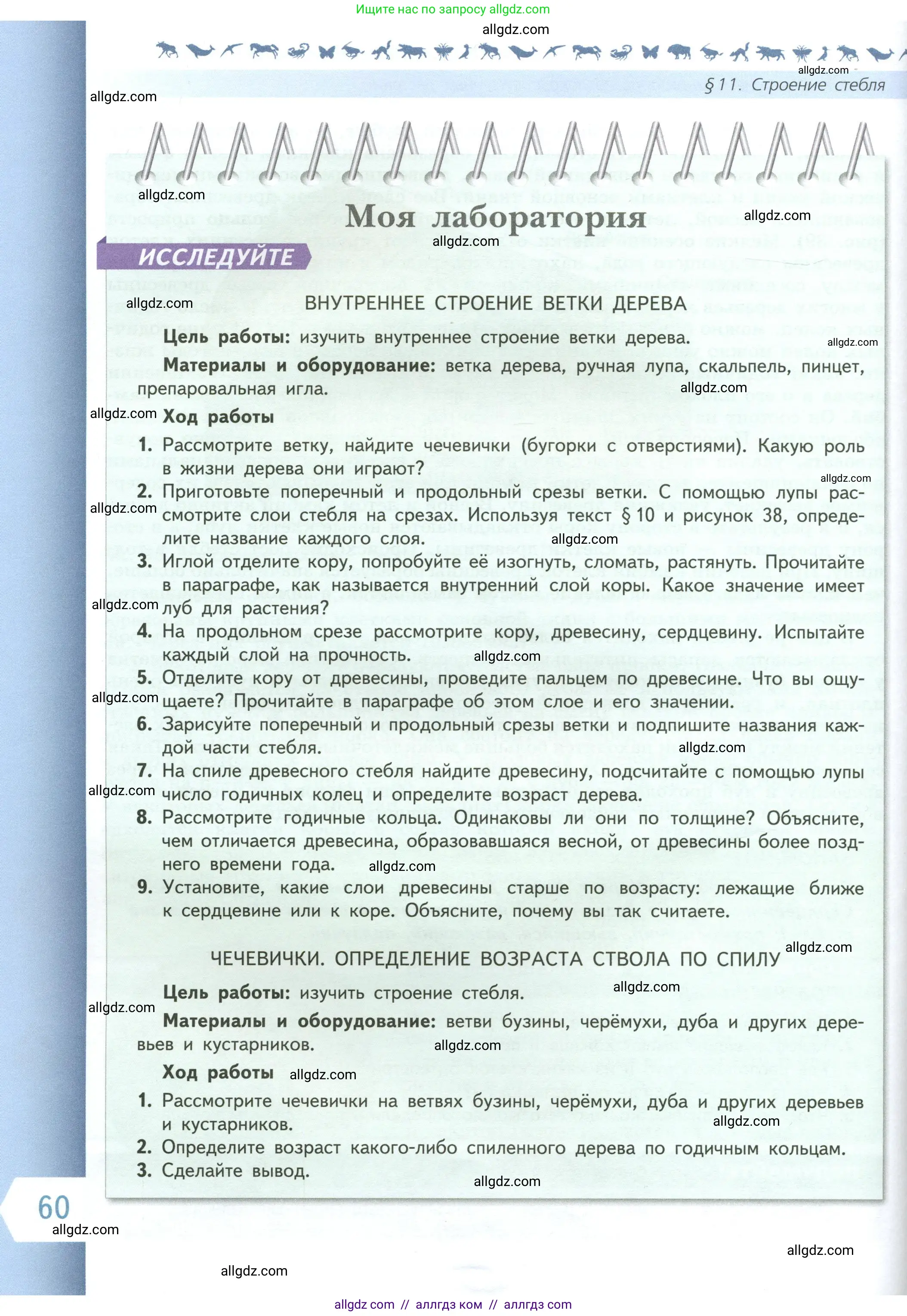 Биология, 6 класс Учебник, авторы: Пасечник Владимир Васильевич, Суматохин Сергей Витальевич, Гапонюк Зоя Георгиевна, Швецов Глеб Геннадьевич, издательство Просвещение, Москва, 2023, белого цвета, страница 60