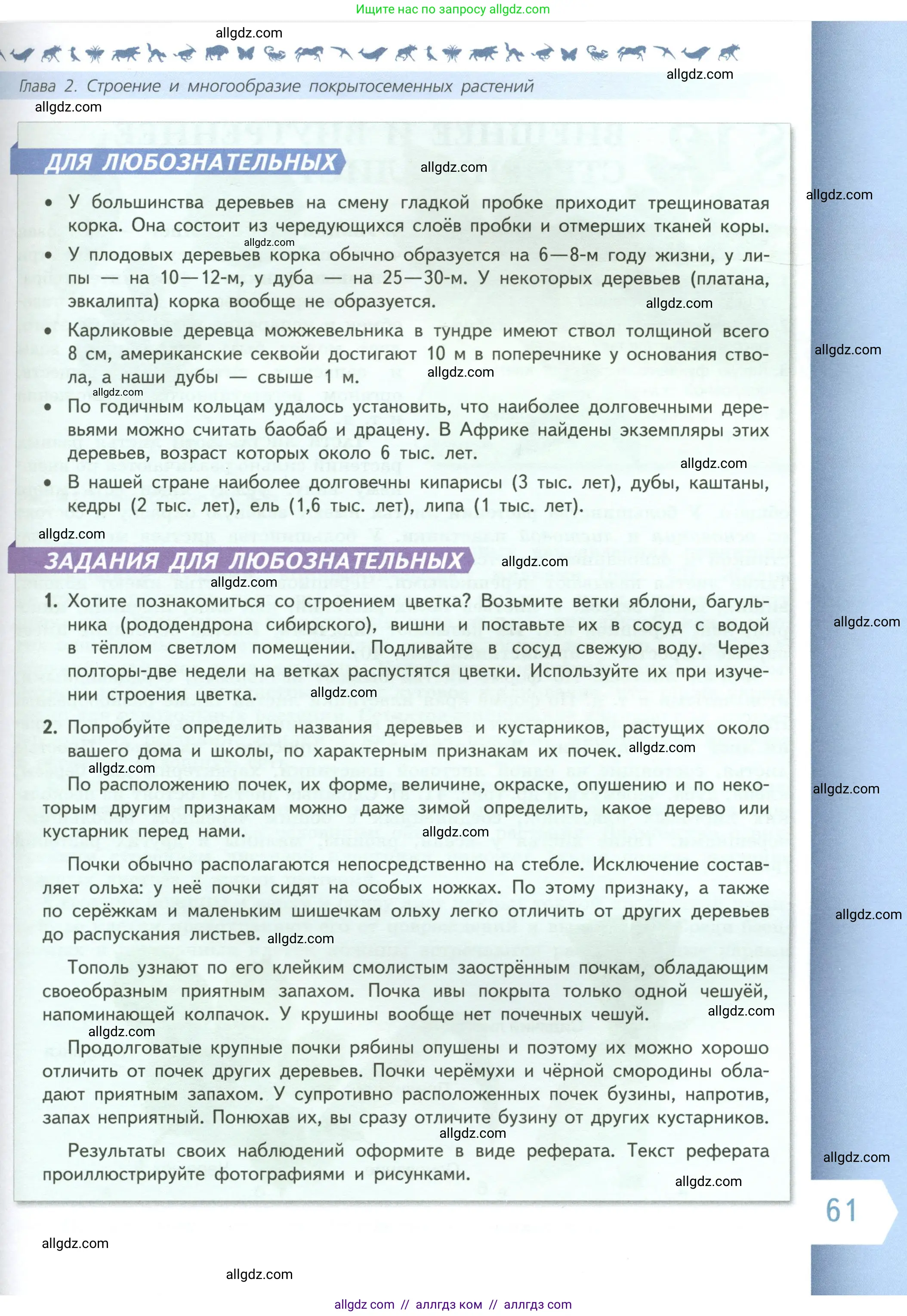 Биология, 6 класс Учебник, авторы: Пасечник Владимир Васильевич, Суматохин Сергей Витальевич, Гапонюк Зоя Георгиевна, Швецов Глеб Геннадьевич, издательство Просвещение, Москва, 2023, белого цвета, страница 61