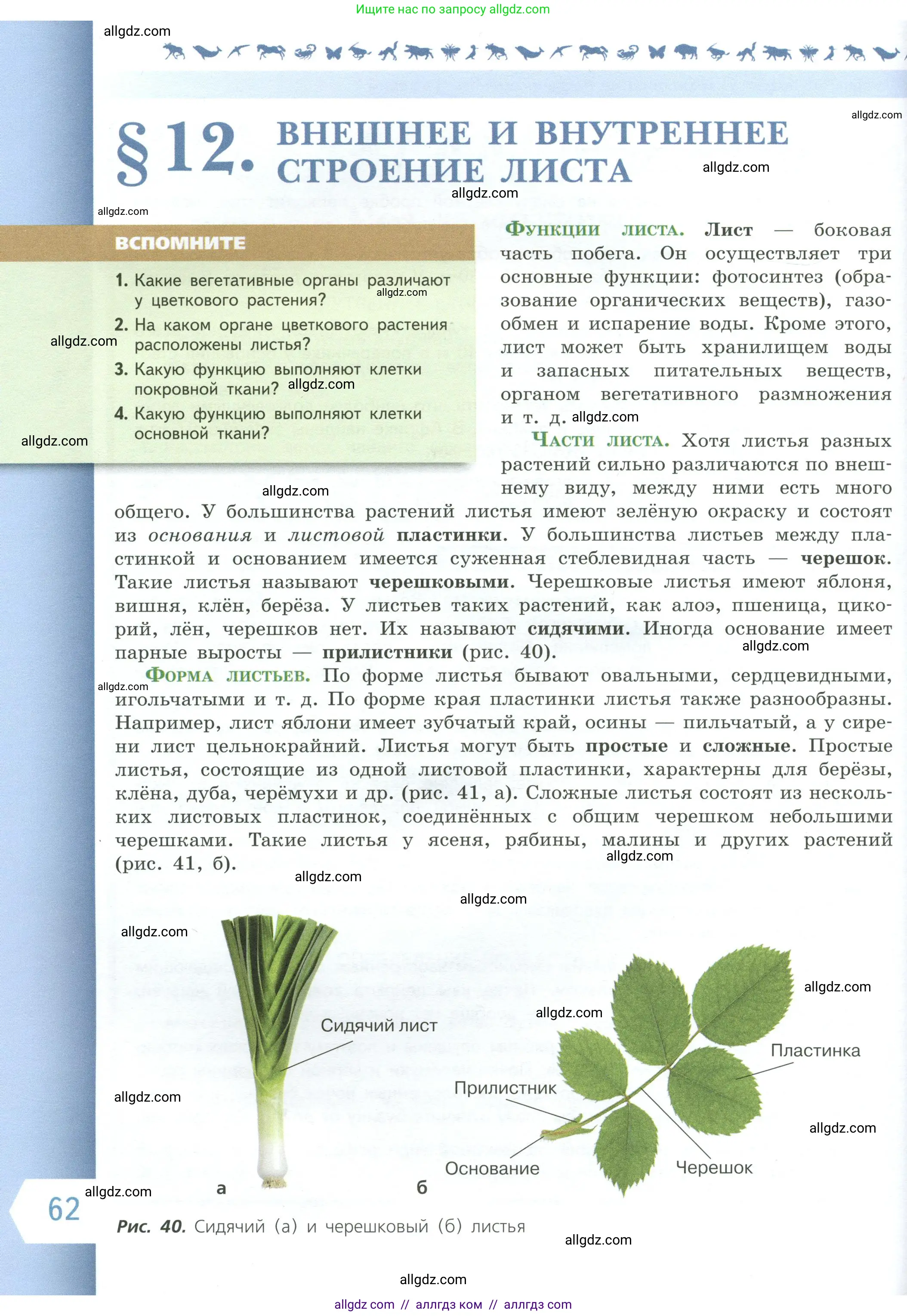 Биология, 6 класс Учебник, авторы: Пасечник Владимир Васильевич, Суматохин Сергей Витальевич, Гапонюк Зоя Георгиевна, Швецов Глеб Геннадьевич, издательство Просвещение, Москва, 2023, белого цвета, страница 62