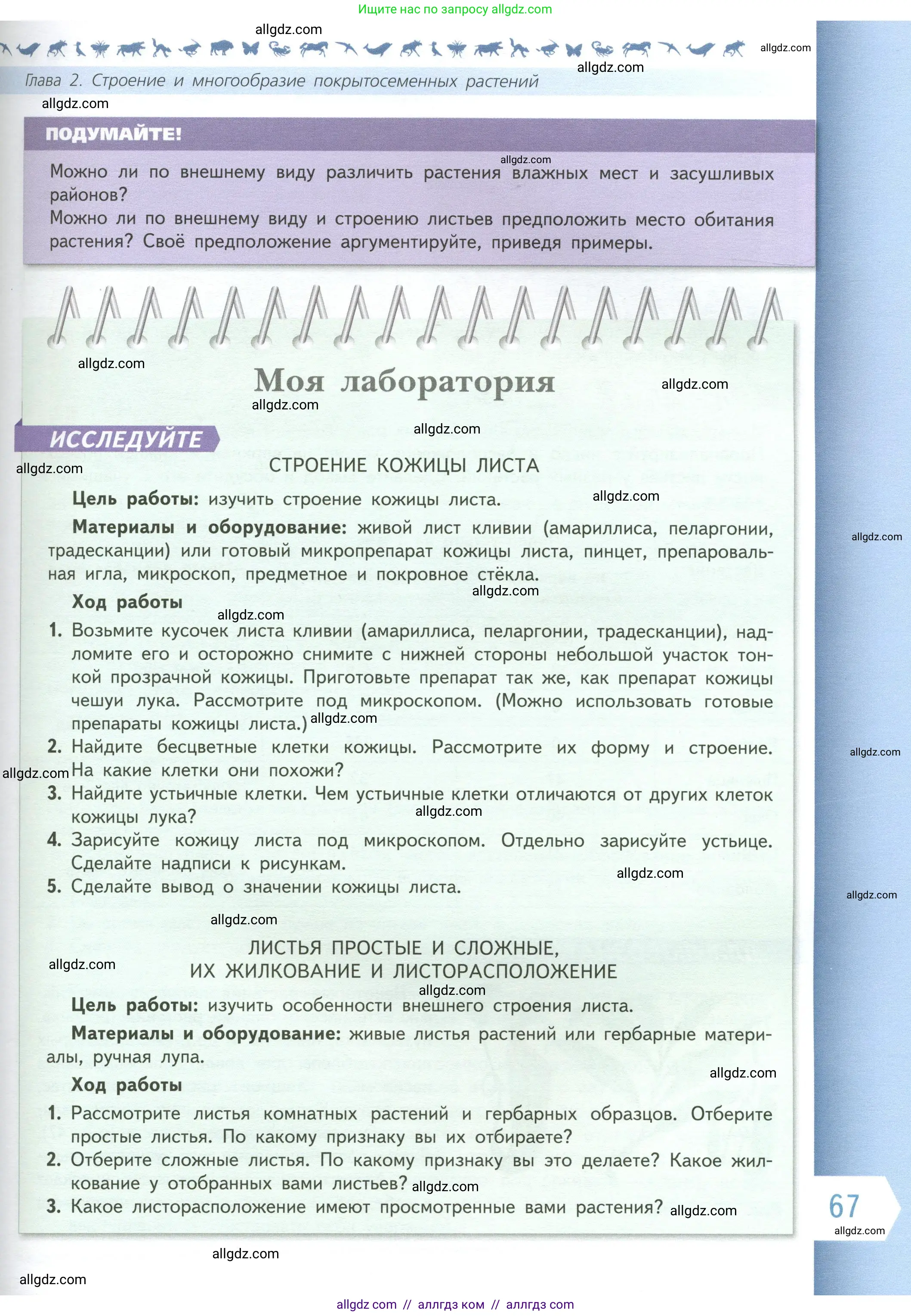 Биология, 6 класс Учебник, авторы: Пасечник Владимир Васильевич, Суматохин Сергей Витальевич, Гапонюк Зоя Георгиевна, Швецов Глеб Геннадьевич, издательство Просвещение, Москва, 2023, белого цвета, страница 67