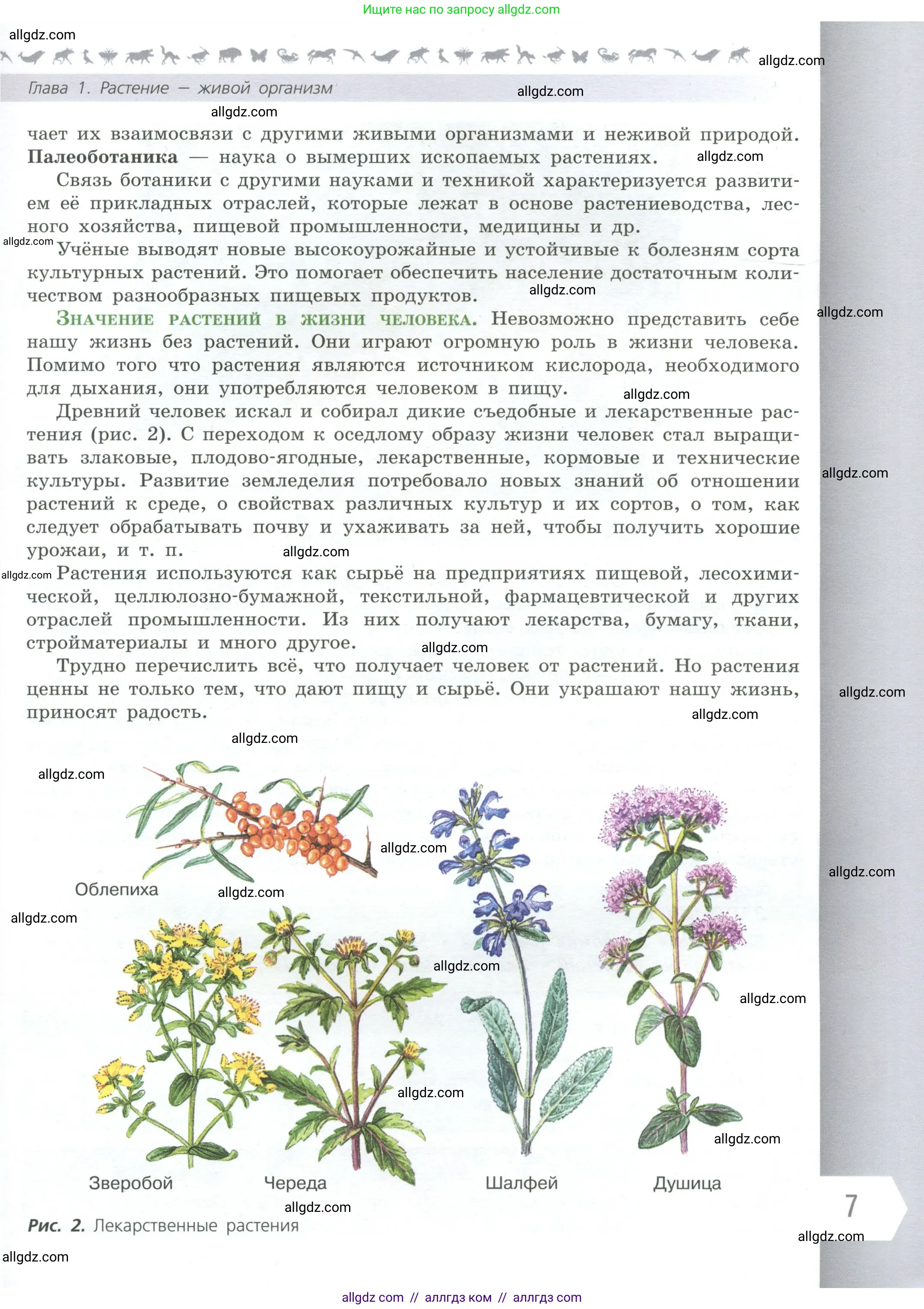 Биология, 6 класс Учебник, авторы: Пасечник Владимир Васильевич, Суматохин Сергей Витальевич, Гапонюк Зоя Георгиевна, Швецов Глеб Геннадьевич, издательство Просвещение, Москва, 2023, белого цвета, страница 7