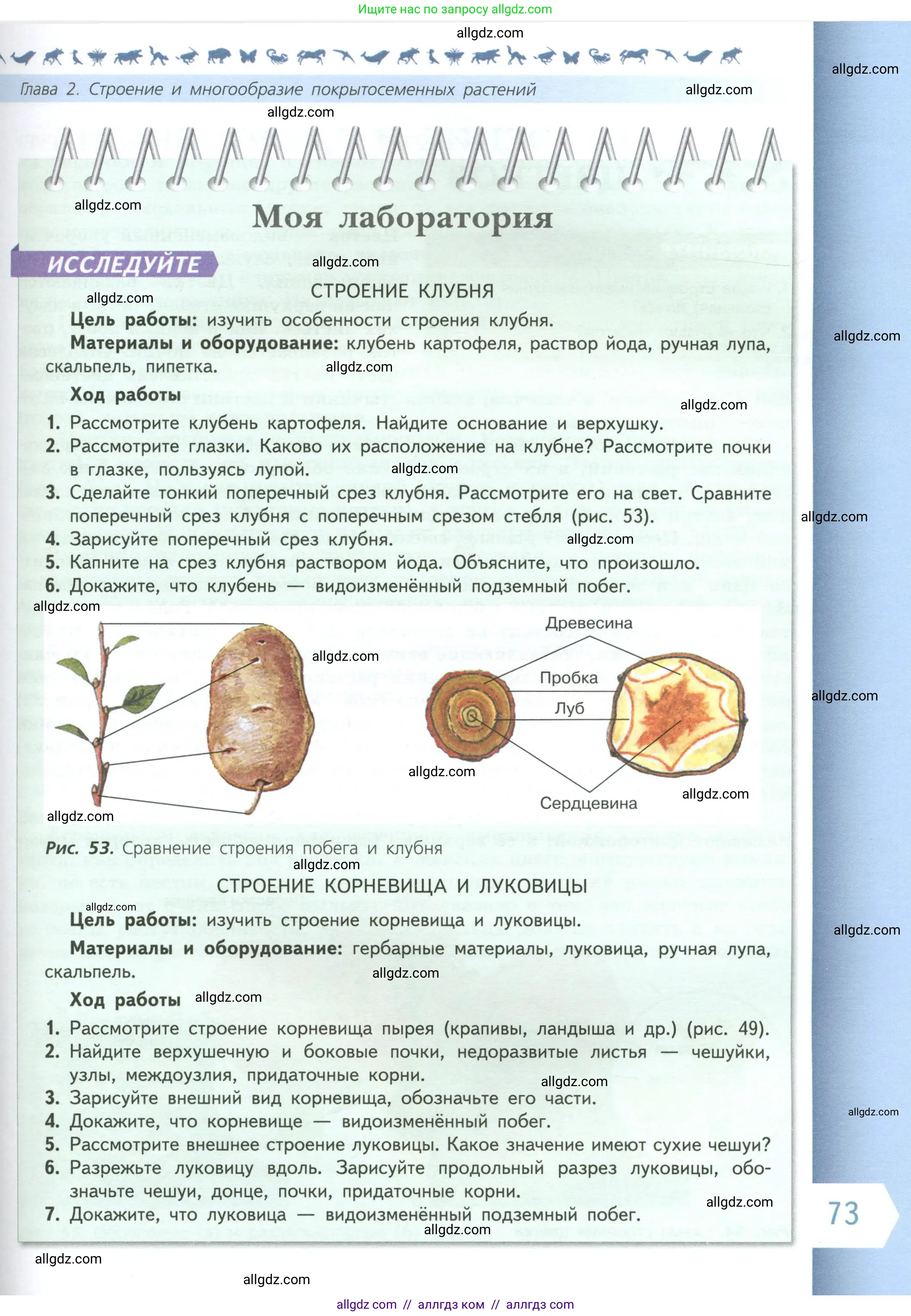 Биология, 6 класс Учебник, авторы: Пасечник Владимир Васильевич, Суматохин Сергей Витальевич, Гапонюк Зоя Георгиевна, Швецов Глеб Геннадьевич, издательство Просвещение, Москва, 2023, белого цвета, страница 73
