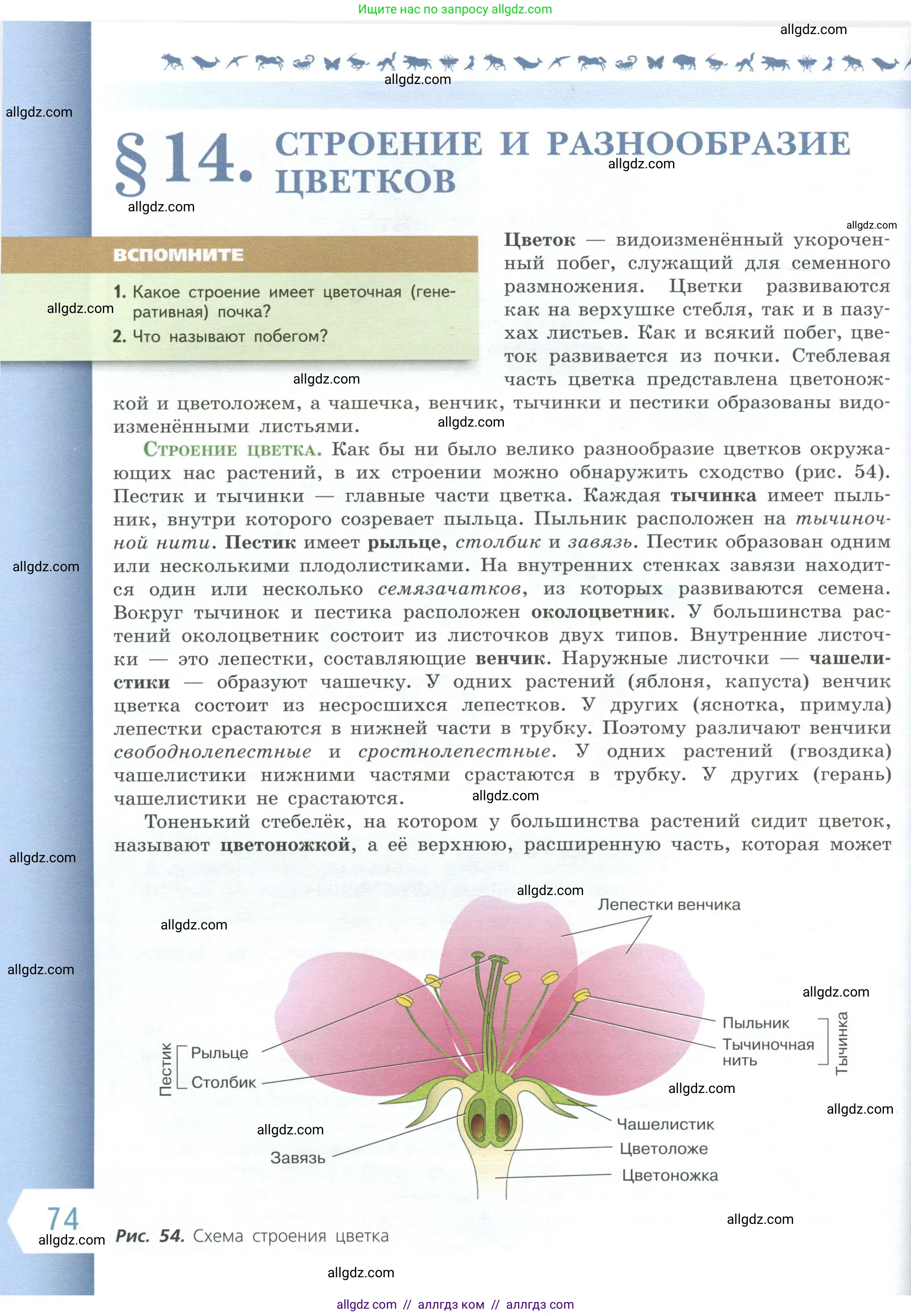 Биология, 6 класс Учебник, авторы: Пасечник Владимир Васильевич, Суматохин Сергей Витальевич, Гапонюк Зоя Георгиевна, Швецов Глеб Геннадьевич, издательство Просвещение, Москва, 2023, белого цвета, страница 74