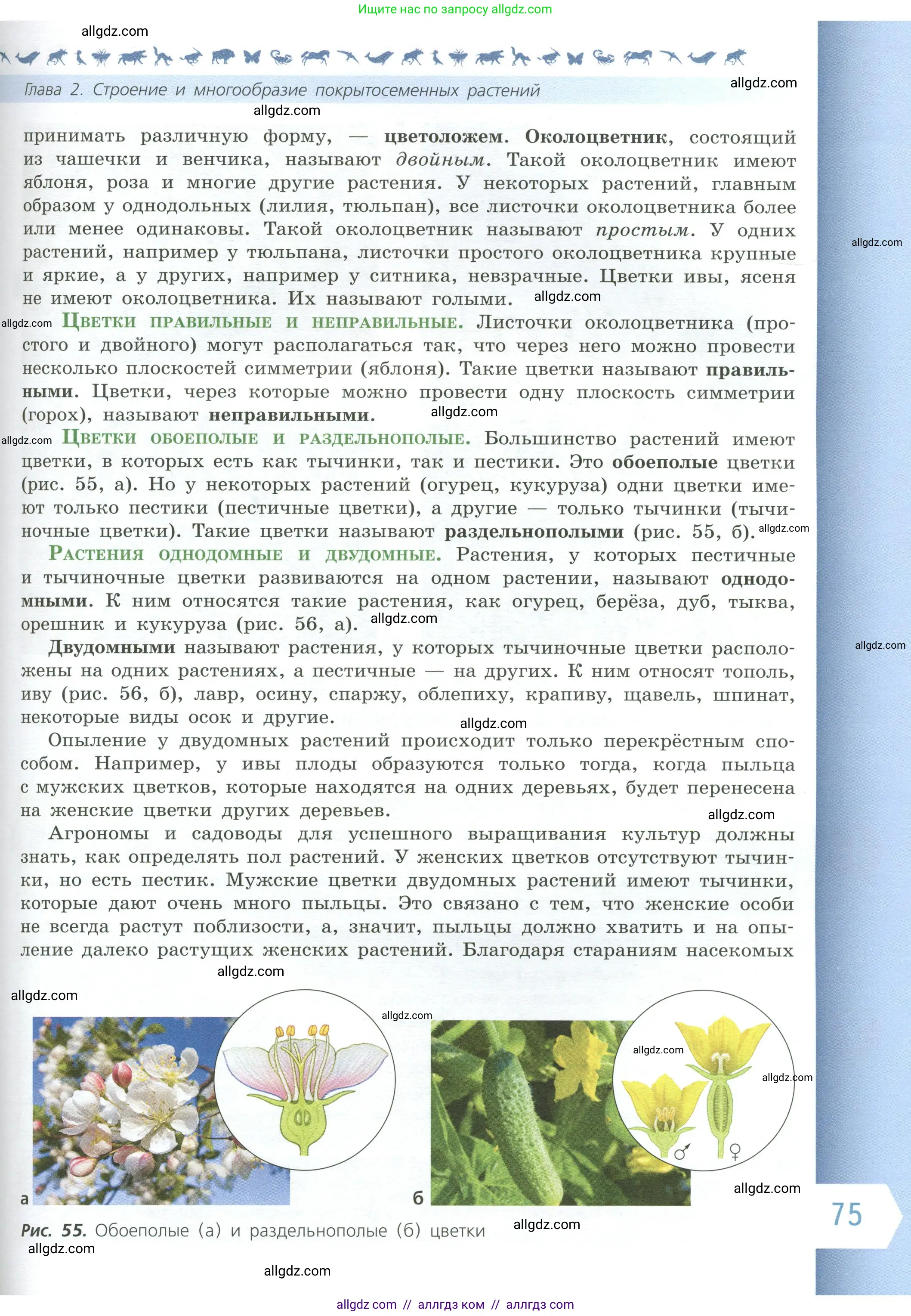 Биология, 6 класс Учебник, авторы: Пасечник Владимир Васильевич, Суматохин Сергей Витальевич, Гапонюк Зоя Георгиевна, Швецов Глеб Геннадьевич, издательство Просвещение, Москва, 2023, белого цвета, страница 75