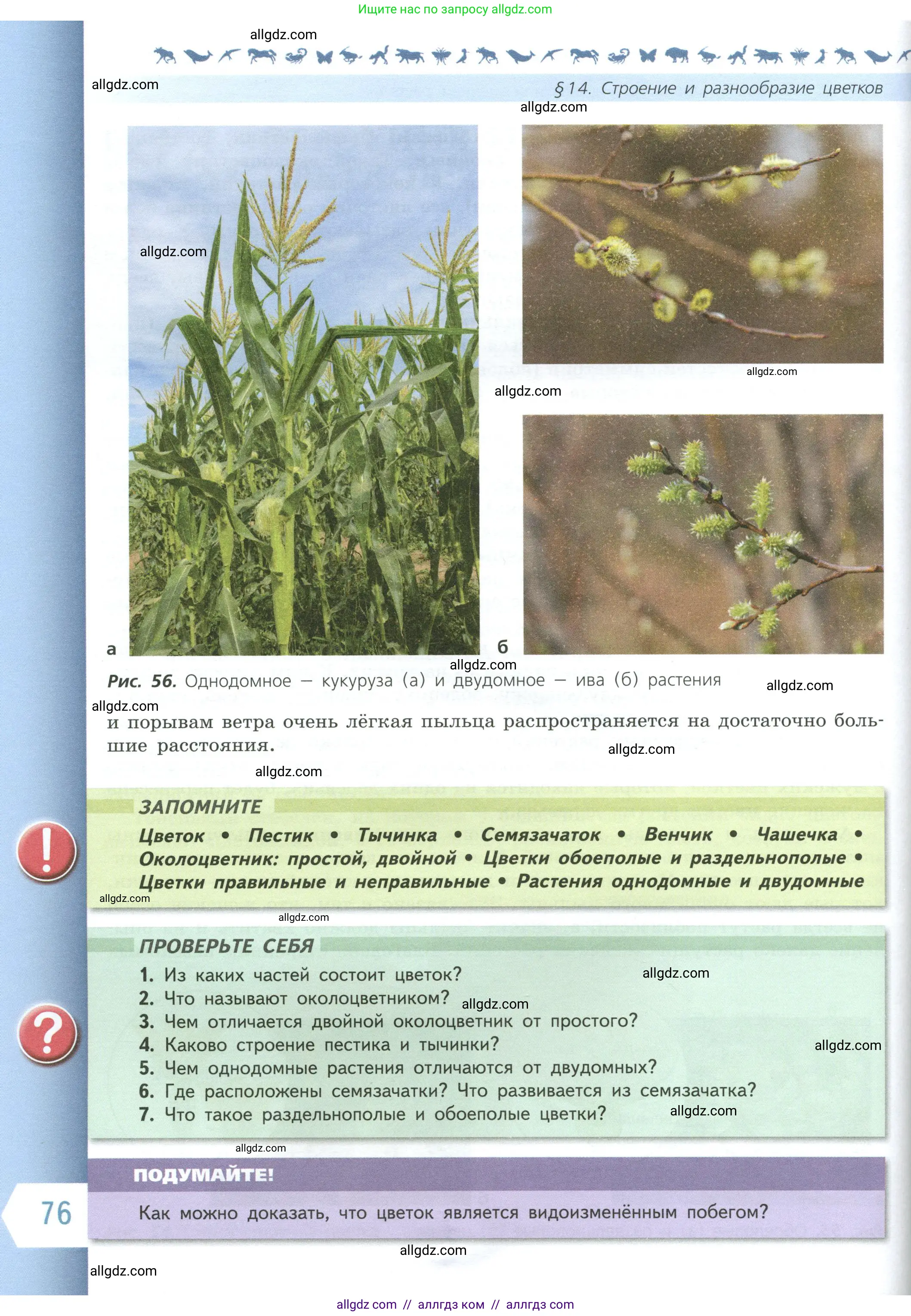 Биология, 6 класс Учебник, авторы: Пасечник Владимир Васильевич, Суматохин Сергей Витальевич, Гапонюк Зоя Георгиевна, Швецов Глеб Геннадьевич, издательство Просвещение, Москва, 2023, белого цвета, страница 76