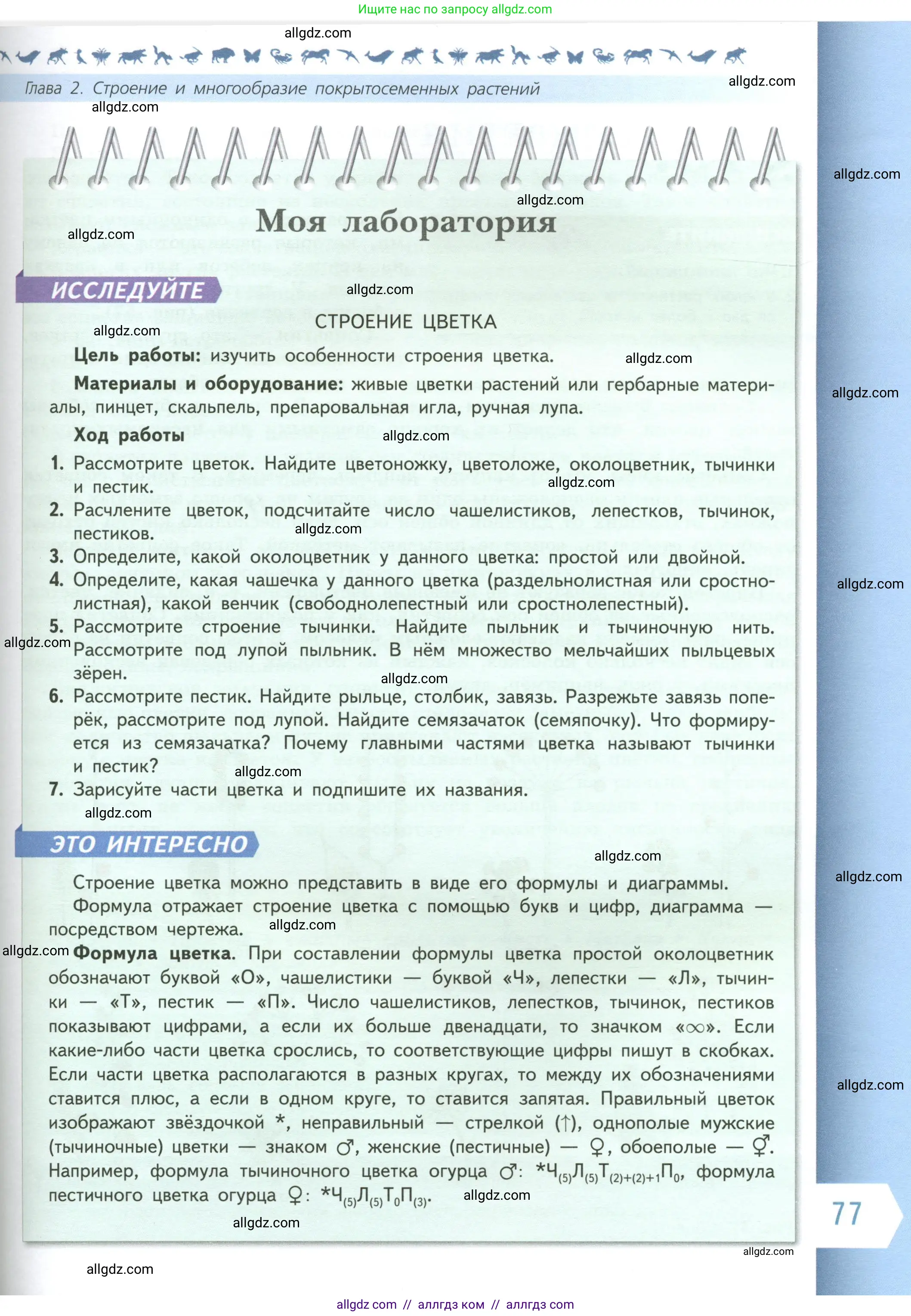 Биология, 6 класс Учебник, авторы: Пасечник Владимир Васильевич, Суматохин Сергей Витальевич, Гапонюк Зоя Георгиевна, Швецов Глеб Геннадьевич, издательство Просвещение, Москва, 2023, белого цвета, страница 77