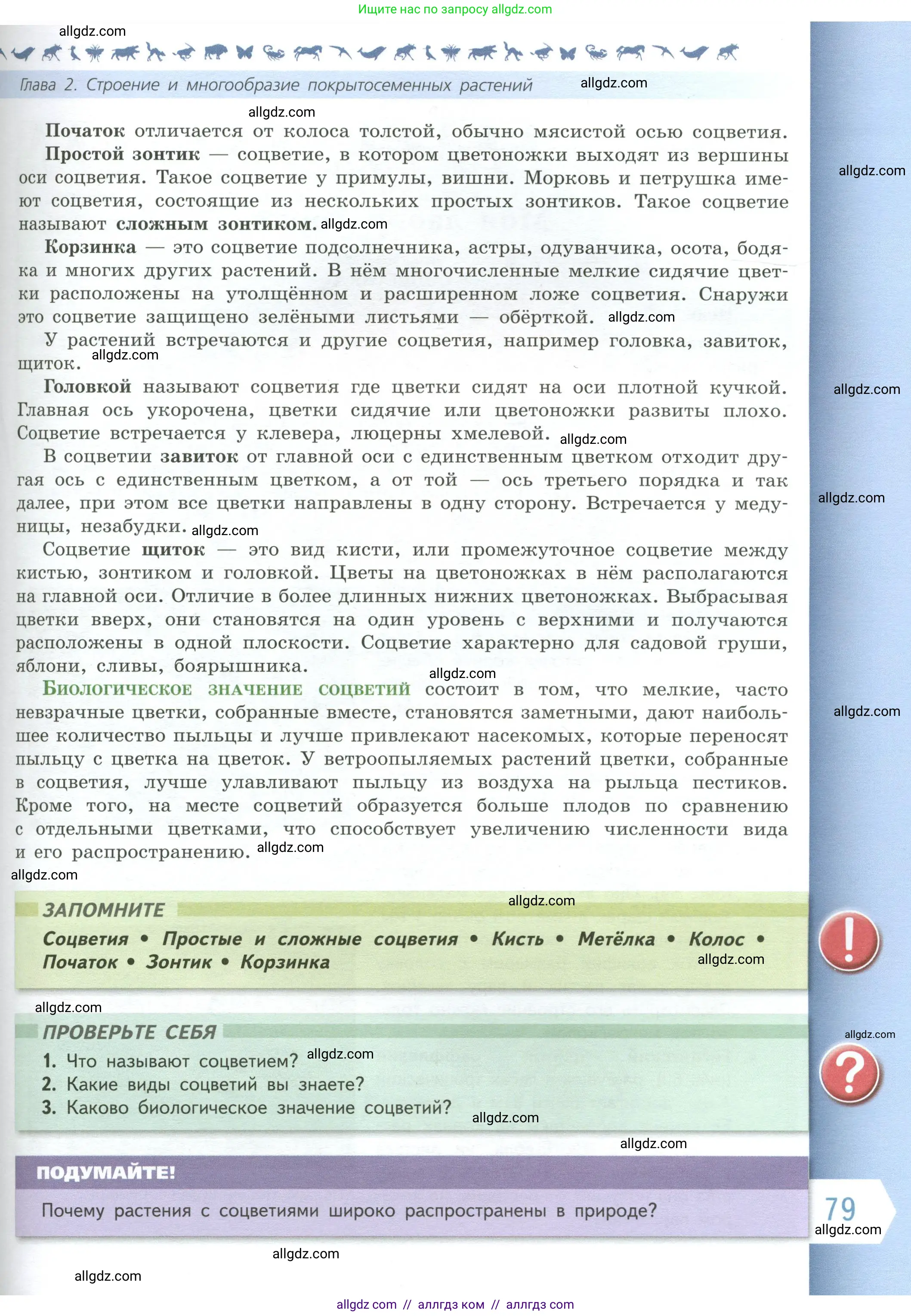 Биология, 6 класс Учебник, авторы: Пасечник Владимир Васильевич, Суматохин Сергей Витальевич, Гапонюк Зоя Георгиевна, Швецов Глеб Геннадьевич, издательство Просвещение, Москва, 2023, белого цвета, страница 79