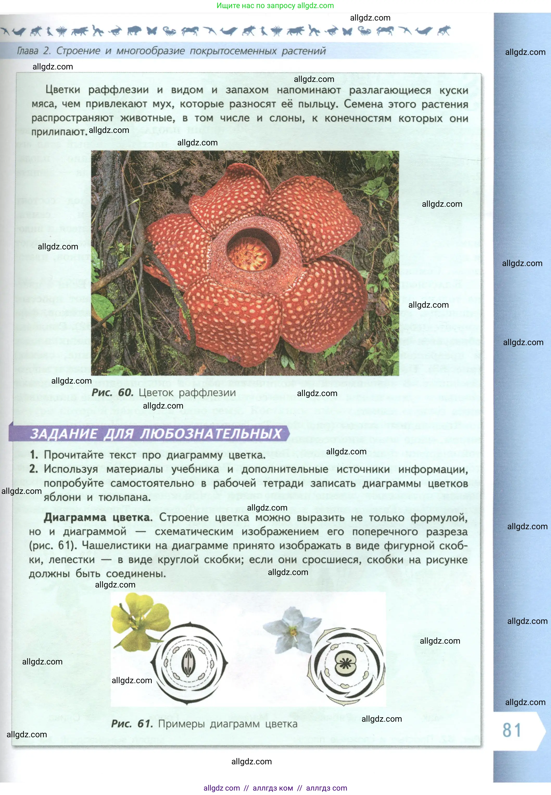 Биология, 6 класс Учебник, авторы: Пасечник Владимир Васильевич, Суматохин Сергей Витальевич, Гапонюк Зоя Георгиевна, Швецов Глеб Геннадьевич, издательство Просвещение, Москва, 2023, белого цвета, страница 81