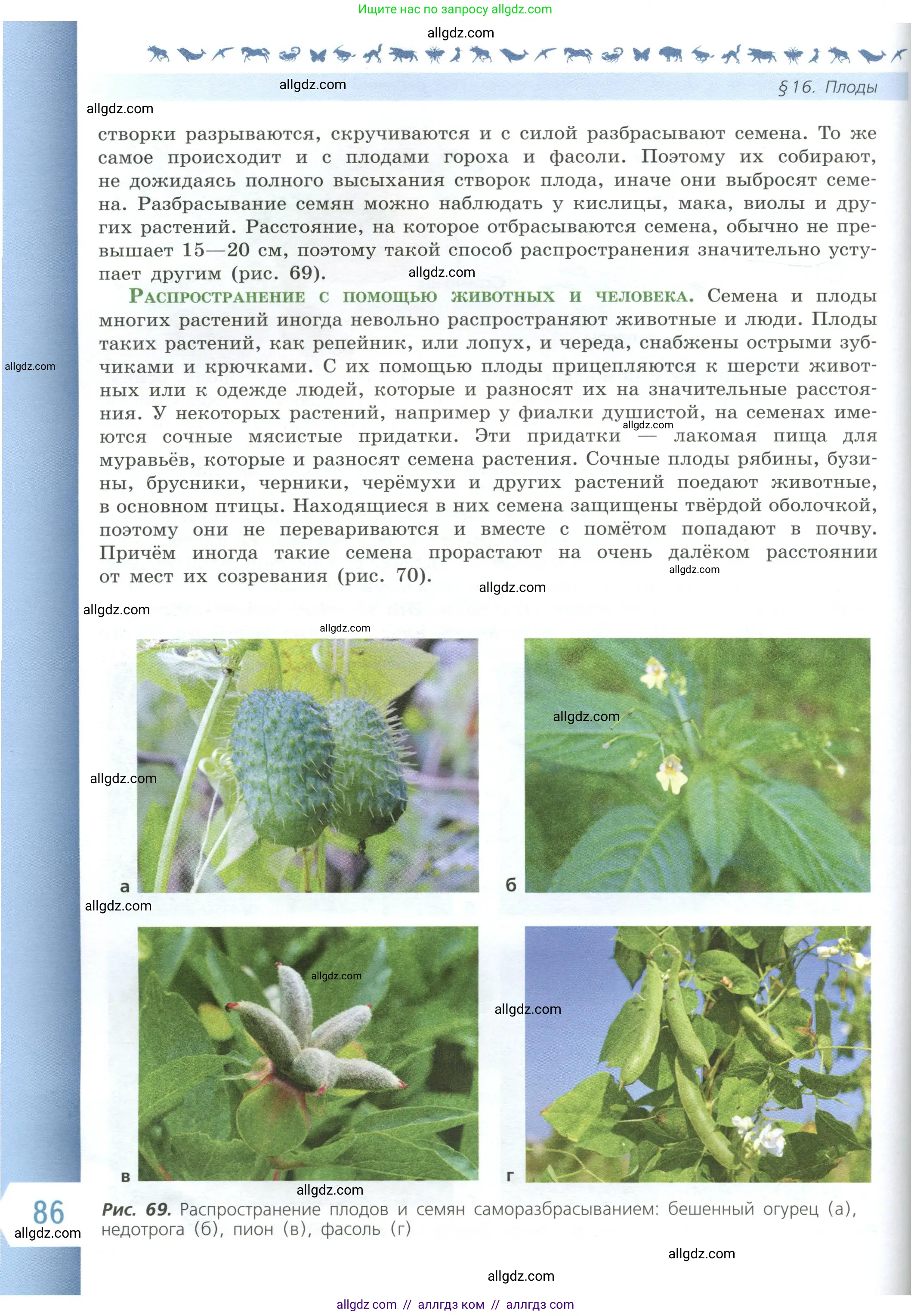 Биология, 6 класс Учебник, авторы: Пасечник Владимир Васильевич, Суматохин Сергей Витальевич, Гапонюк Зоя Георгиевна, Швецов Глеб Геннадьевич, издательство Просвещение, Москва, 2023, белого цвета, страница 86