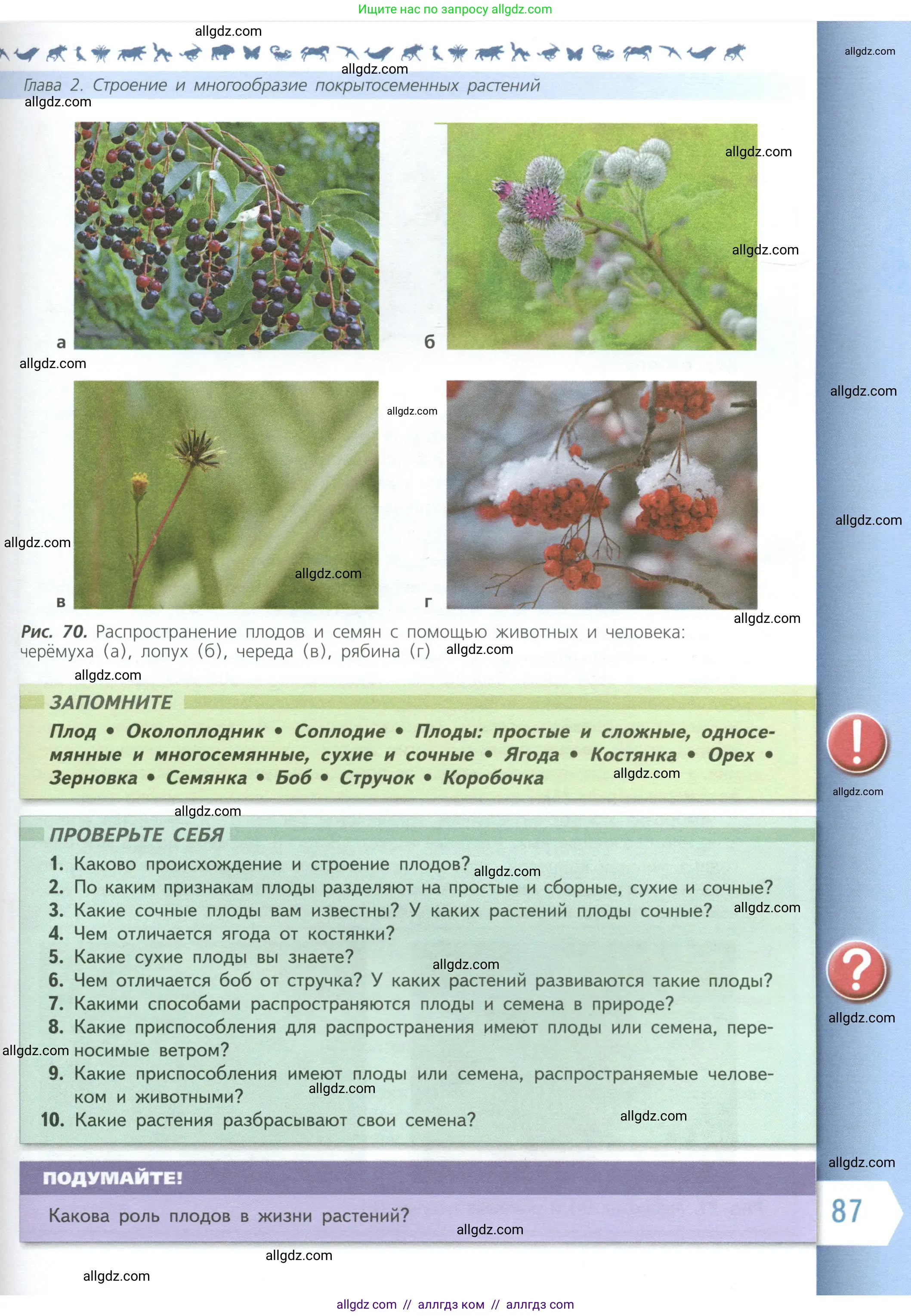 Биология, 6 класс Учебник, авторы: Пасечник Владимир Васильевич, Суматохин Сергей Витальевич, Гапонюк Зоя Георгиевна, Швецов Глеб Геннадьевич, издательство Просвещение, Москва, 2023, белого цвета, страница 87