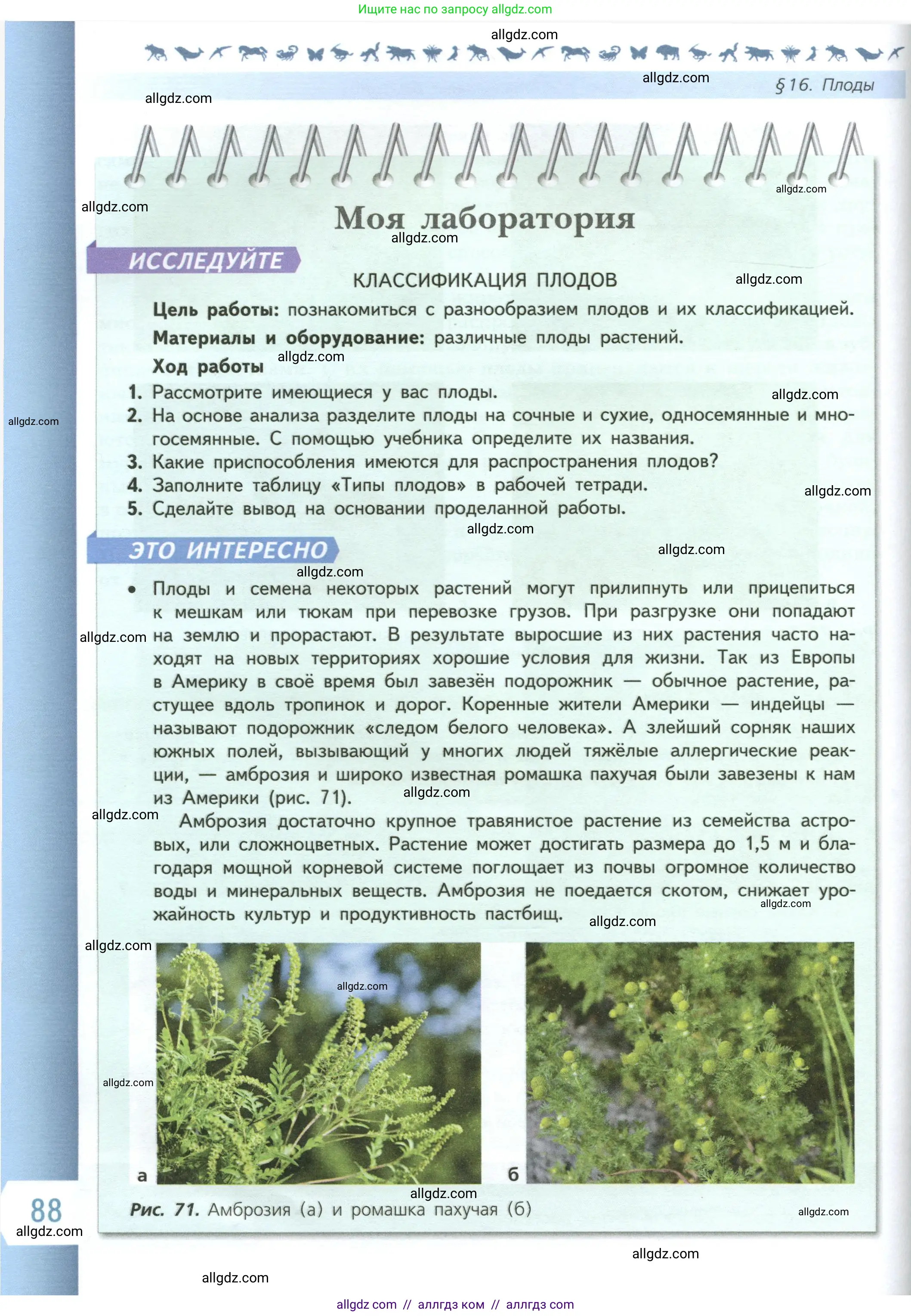 Биология, 6 класс Учебник, авторы: Пасечник Владимир Васильевич, Суматохин Сергей Витальевич, Гапонюк Зоя Георгиевна, Швецов Глеб Геннадьевич, издательство Просвещение, Москва, 2023, белого цвета, страница 88