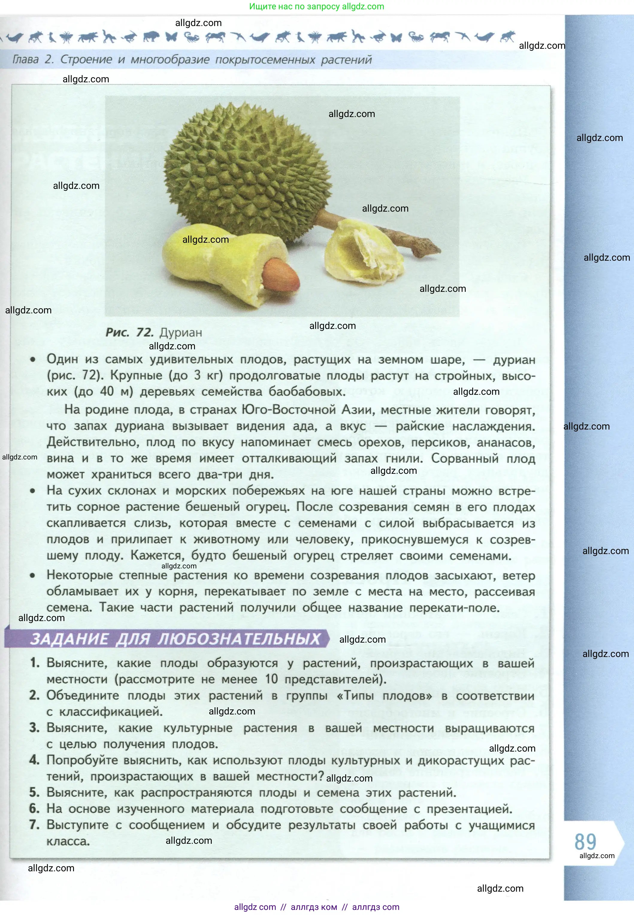 Биология, 6 класс Учебник, авторы: Пасечник Владимир Васильевич, Суматохин Сергей Витальевич, Гапонюк Зоя Георгиевна, Швецов Глеб Геннадьевич, издательство Просвещение, Москва, 2023, белого цвета, страница 89