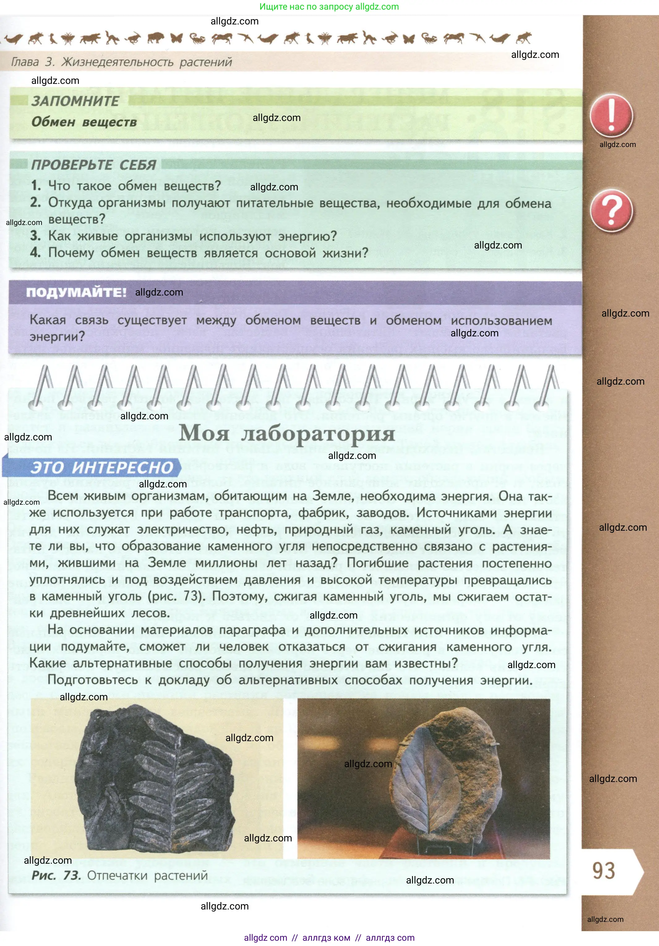 Биология, 6 класс Учебник, авторы: Пасечник Владимир Васильевич, Суматохин Сергей Витальевич, Гапонюк Зоя Георгиевна, Швецов Глеб Геннадьевич, издательство Просвещение, Москва, 2023, белого цвета, страница 93