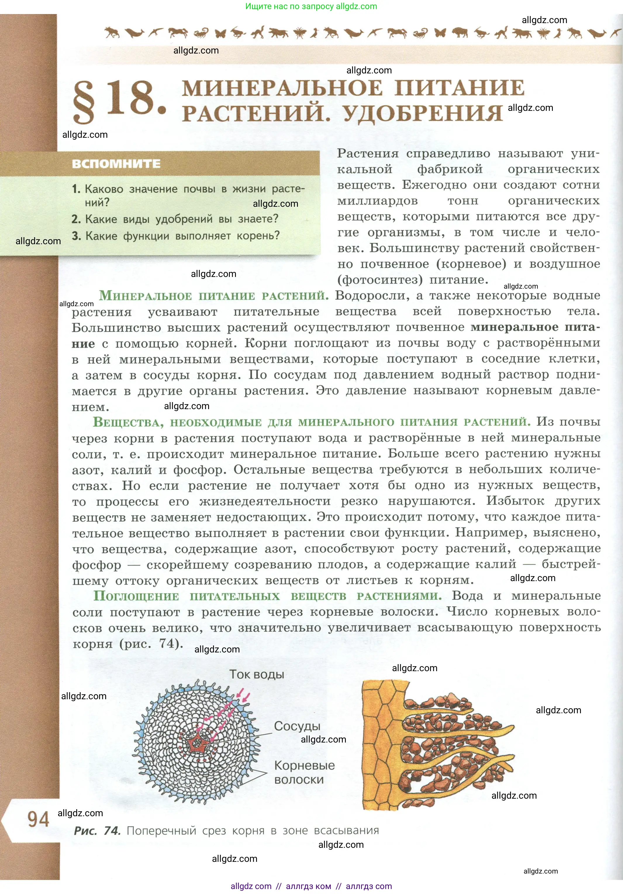 Биология, 6 класс Учебник, авторы: Пасечник Владимир Васильевич, Суматохин Сергей Витальевич, Гапонюк Зоя Георгиевна, Швецов Глеб Геннадьевич, издательство Просвещение, Москва, 2023, белого цвета, страница 94