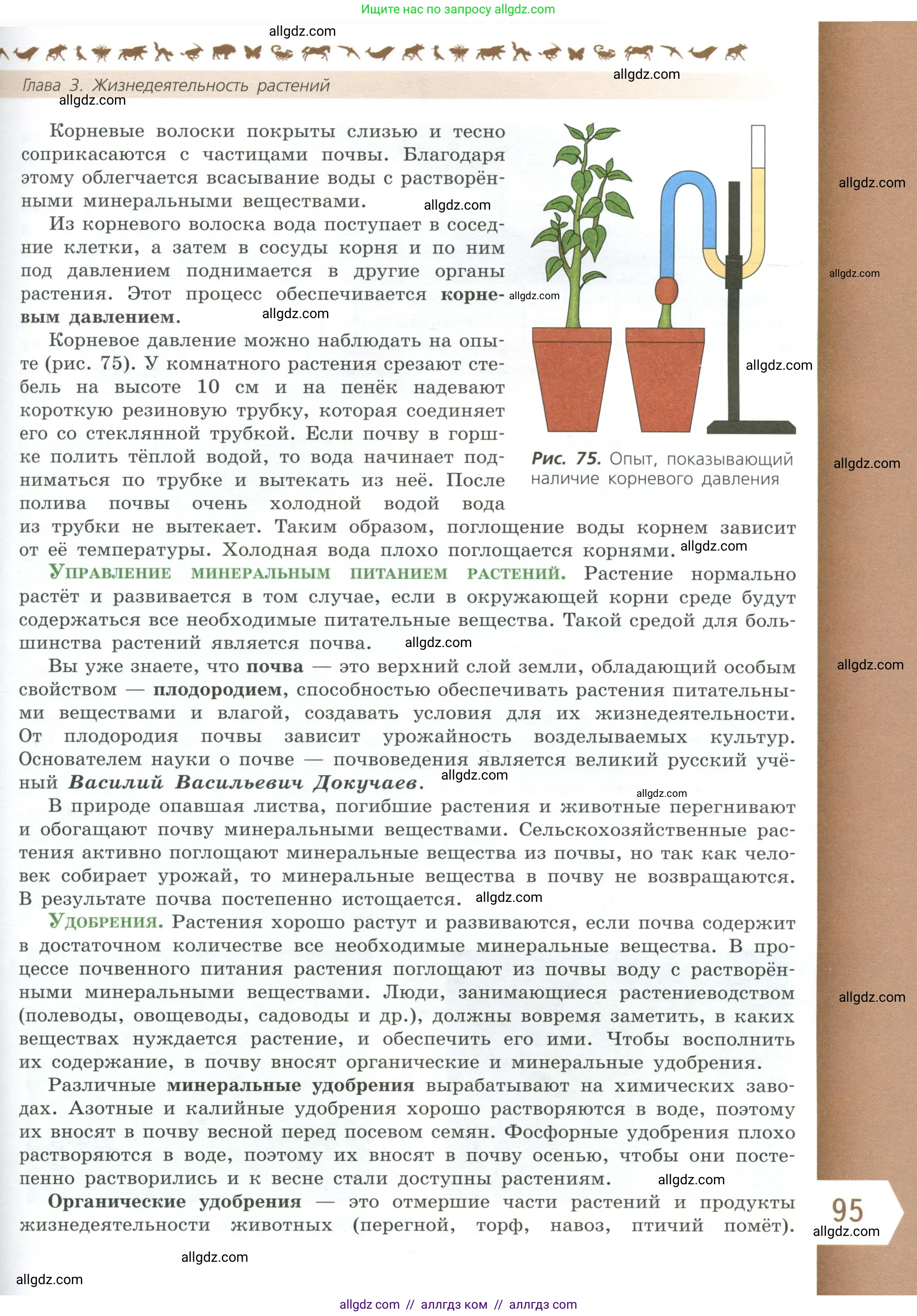 Биология, 6 класс Учебник, авторы: Пасечник Владимир Васильевич, Суматохин Сергей Витальевич, Гапонюк Зоя Георгиевна, Швецов Глеб Геннадьевич, издательство Просвещение, Москва, 2023, белого цвета, страница 95