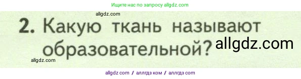 Биология, 6 класс Учебник, авторы: Пасечник Владимир Васильевич, Суматохин Сергей Витальевич, Гапонюк Зоя Георгиевна, Швецов Глеб Геннадьевич, издательство Просвещение, Москва, 2023, белого цвета, страница 52, номер 2, Условие