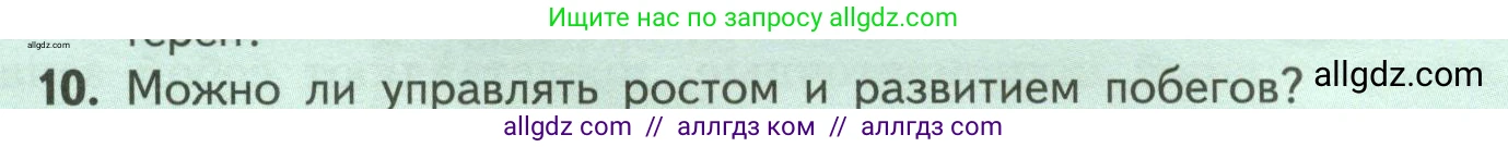Биология, 6 класс Учебник, авторы: Пасечник Владимир Васильевич, Суматохин Сергей Витальевич, Гапонюк Зоя Георгиевна, Швецов Глеб Геннадьевич, издательство Просвещение, Москва, 2023, белого цвета, страница 54, номер 10, Условие