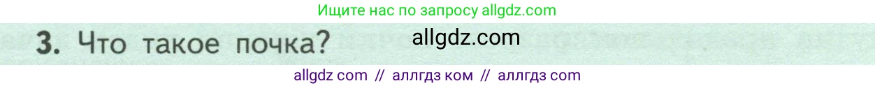 Биология, 6 класс Учебник, авторы: Пасечник Владимир Васильевич, Суматохин Сергей Витальевич, Гапонюк Зоя Георгиевна, Швецов Глеб Геннадьевич, издательство Просвещение, Москва, 2023, белого цвета, страница 54, номер 3, Условие