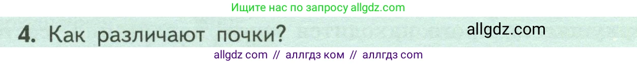 Биология, 6 класс Учебник, авторы: Пасечник Владимир Васильевич, Суматохин Сергей Витальевич, Гапонюк Зоя Георгиевна, Швецов Глеб Геннадьевич, издательство Просвещение, Москва, 2023, белого цвета, страница 54, номер 4, Условие