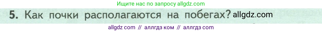 Биология, 6 класс Учебник, авторы: Пасечник Владимир Васильевич, Суматохин Сергей Витальевич, Гапонюк Зоя Георгиевна, Швецов Глеб Геннадьевич, издательство Просвещение, Москва, 2023, белого цвета, страница 54, номер 5, Условие