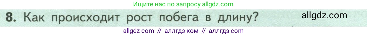 Биология, 6 класс Учебник, авторы: Пасечник Владимир Васильевич, Суматохин Сергей Витальевич, Гапонюк Зоя Георгиевна, Швецов Глеб Геннадьевич, издательство Просвещение, Москва, 2023, белого цвета, страница 54, номер 8, Условие