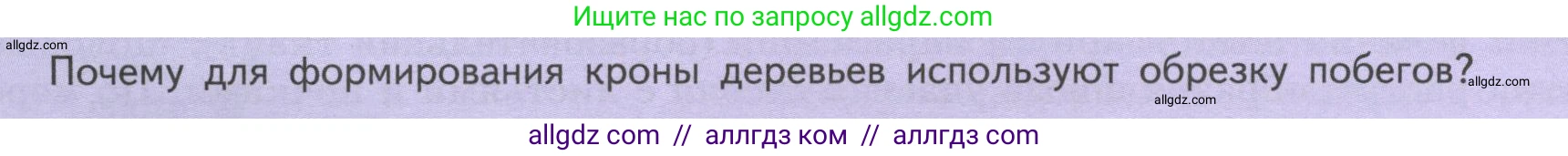 Биология, 6 класс Учебник, авторы: Пасечник Владимир Васильевич, Суматохин Сергей Витальевич, Гапонюк Зоя Георгиевна, Швецов Глеб Геннадьевич, издательство Просвещение, Москва, 2023, белого цвета, страница 54, Условие