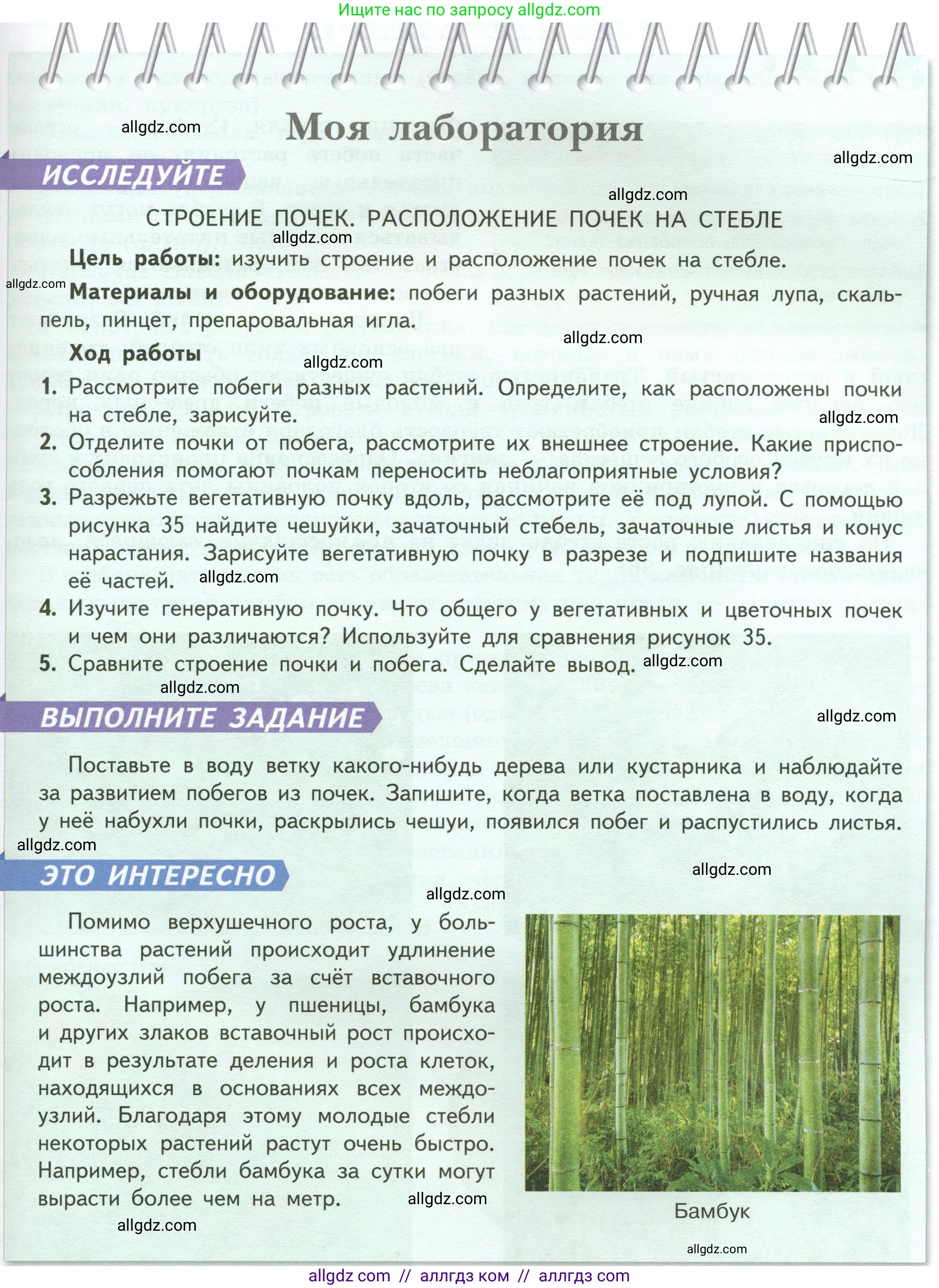 Биология, 6 класс Учебник, авторы: Пасечник Владимир Васильевич, Суматохин Сергей Витальевич, Гапонюк Зоя Георгиевна, Швецов Глеб Геннадьевич, издательство Просвещение, Москва, 2023, белого цвета, страница 55, Условие
