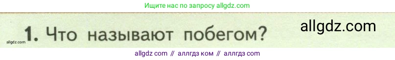Биология, 6 класс Учебник, авторы: Пасечник Владимир Васильевич, Суматохин Сергей Витальевич, Гапонюк Зоя Георгиевна, Швецов Глеб Геннадьевич, издательство Просвещение, Москва, 2023, белого цвета, страница 56, номер 1, Условие