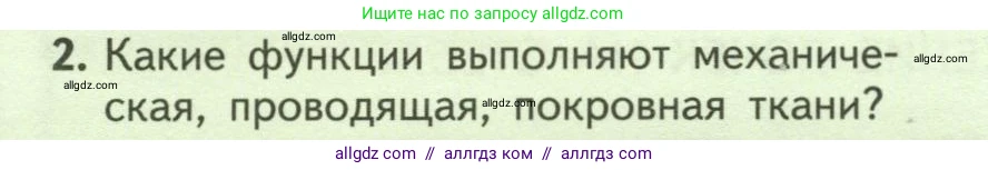 Биология, 6 класс Учебник, авторы: Пасечник Владимир Васильевич, Суматохин Сергей Витальевич, Гапонюк Зоя Георгиевна, Швецов Глеб Геннадьевич, издательство Просвещение, Москва, 2023, белого цвета, страница 56, номер 2, Условие